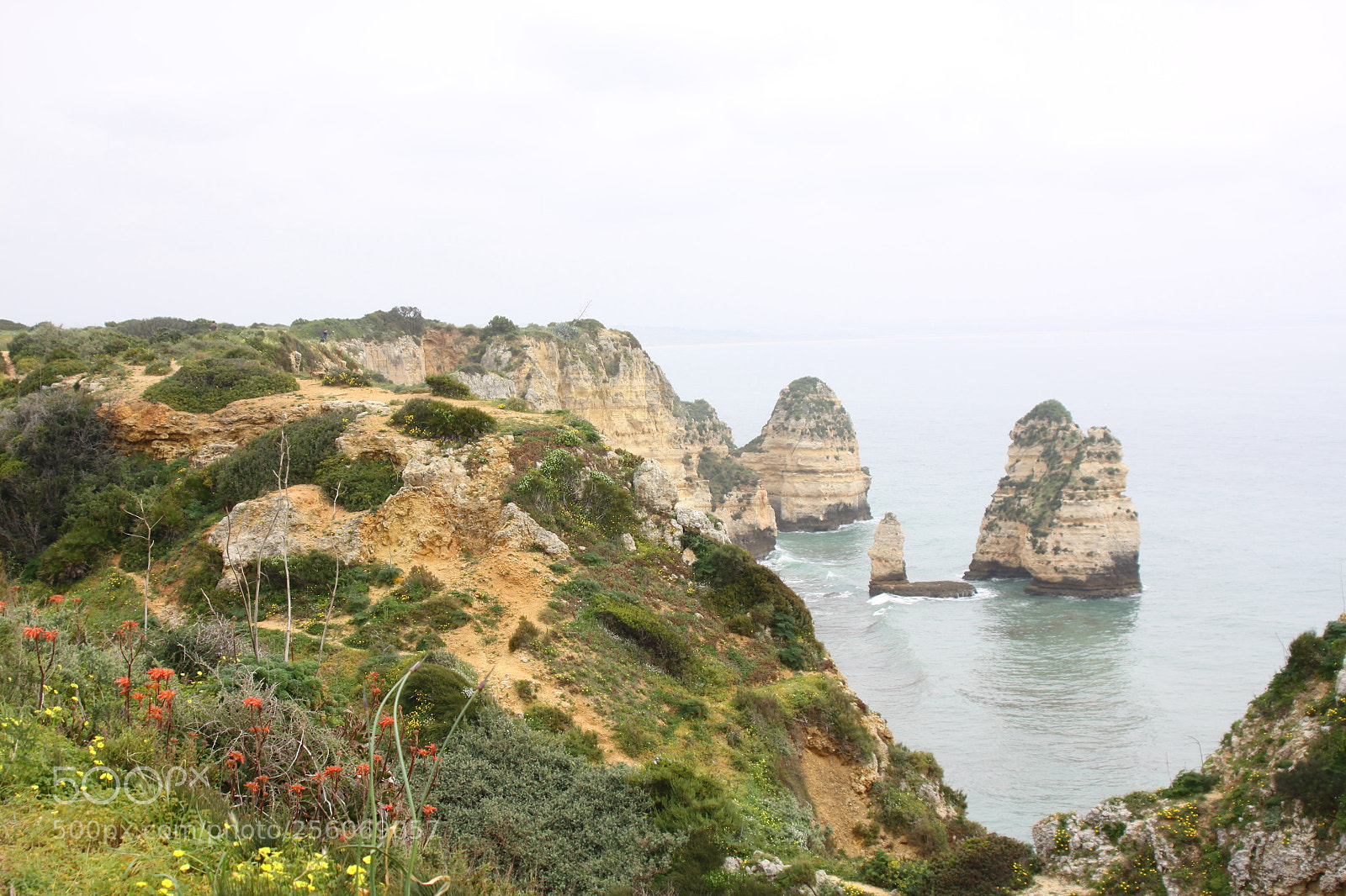 Canon EOS 50D sample photo. Algarve, portugal, march 2011 photography