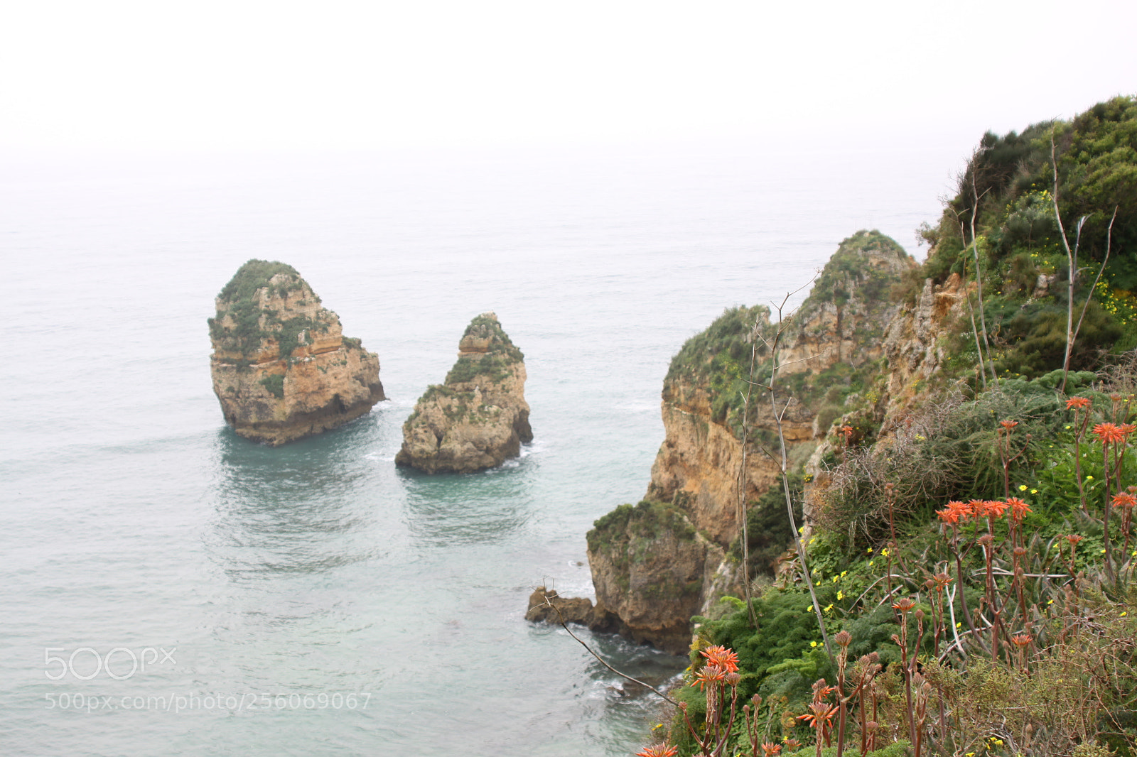 Canon EOS 50D sample photo. Algarve, portugal, march 2011 photography