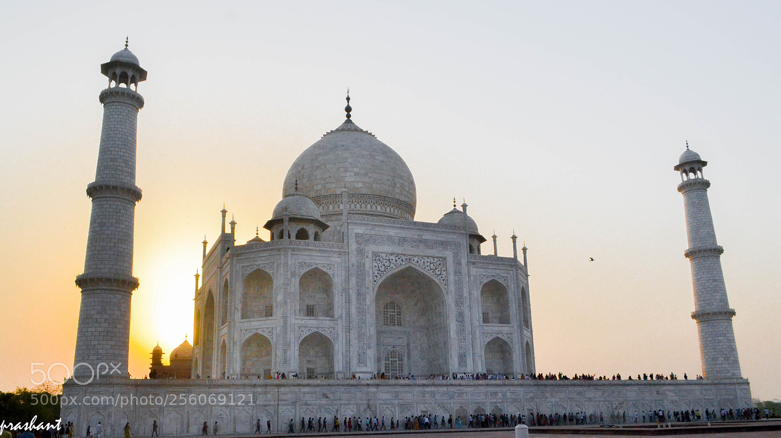 Nikon D3100 sample photo. Taj mahal and sunset photography