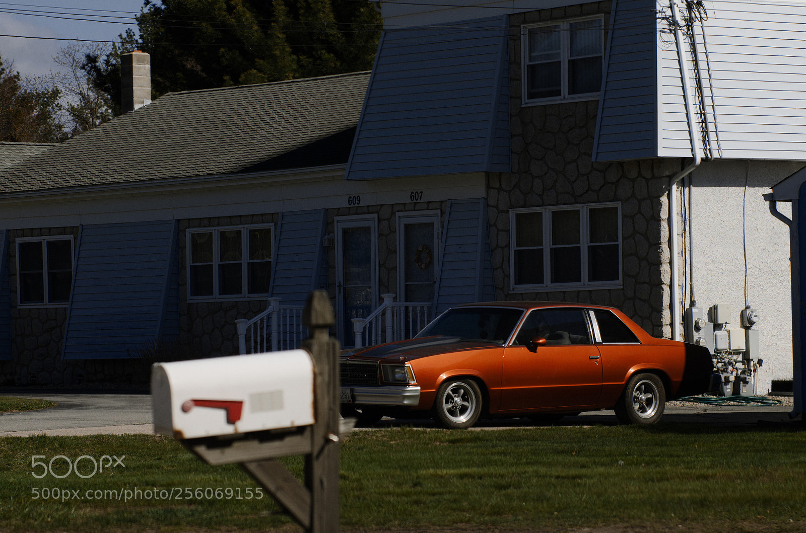 Nikon D7000 sample photo. Burnt orange photography
