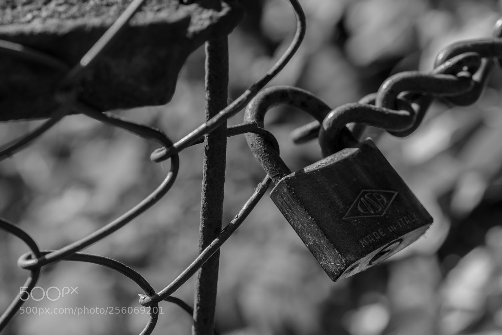 Nikon D850 sample photo. Untitled photography