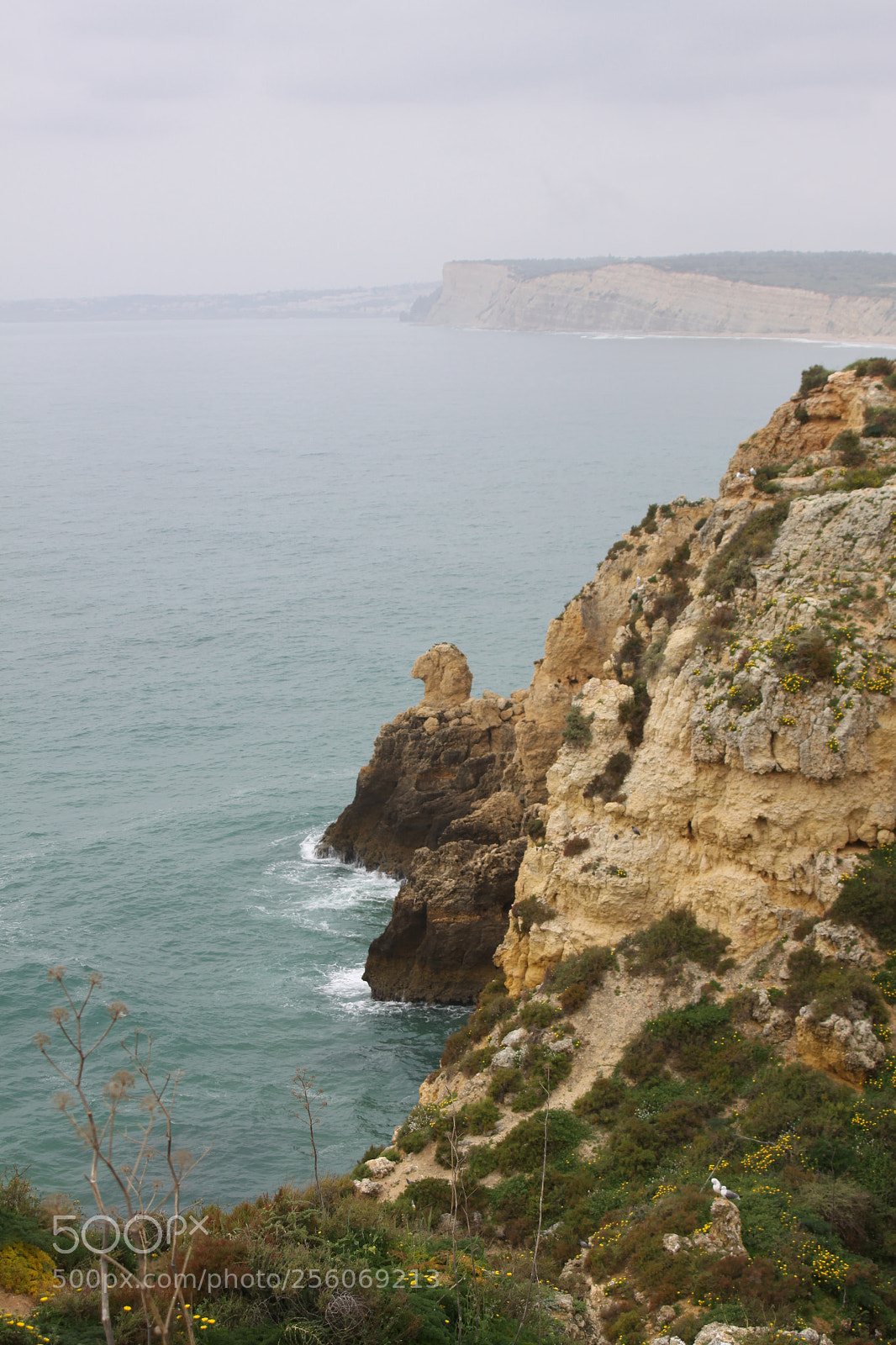Canon EOS 50D sample photo. Algarve, portugal, march 2011 photography