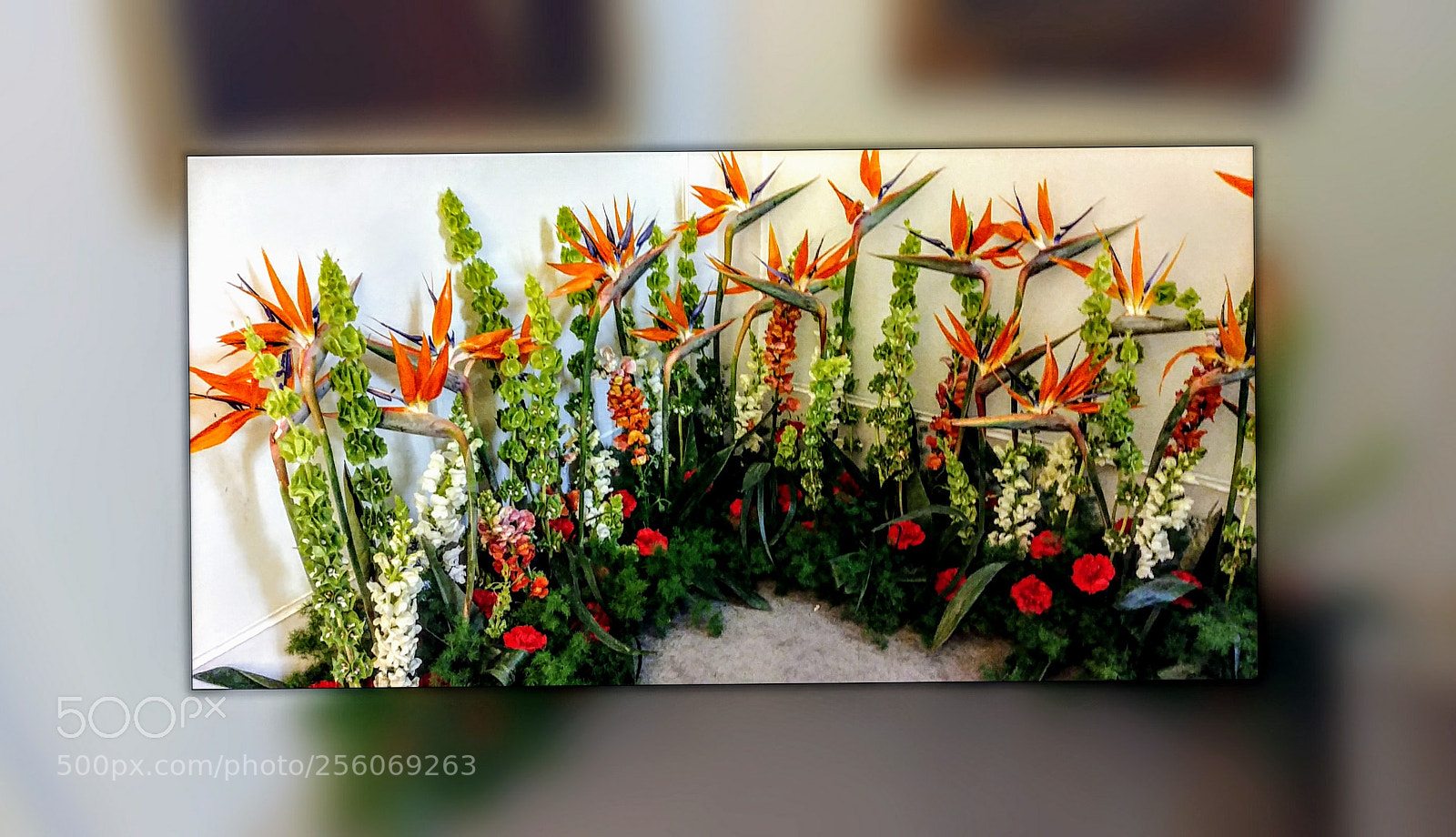 LG G6 sample photo. Flowers photography