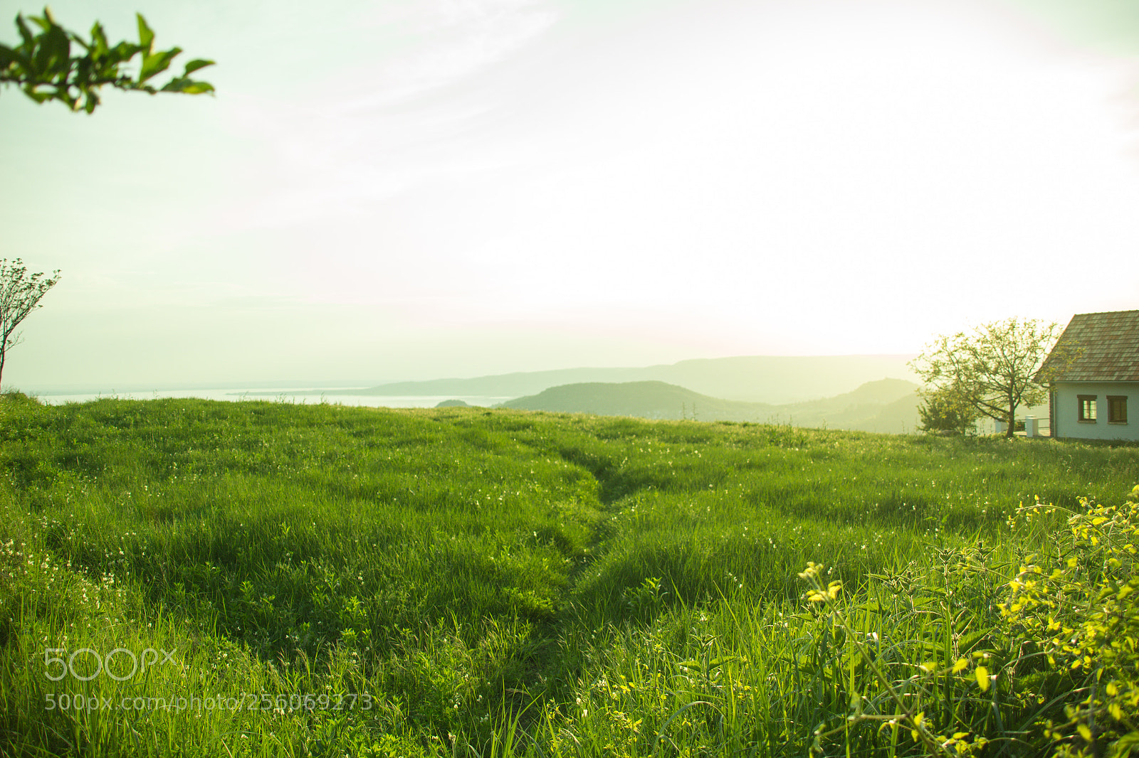 Canon EOS 100D (EOS Rebel SL1 / EOS Kiss X7) sample photo. Landscape in lake balaton photography