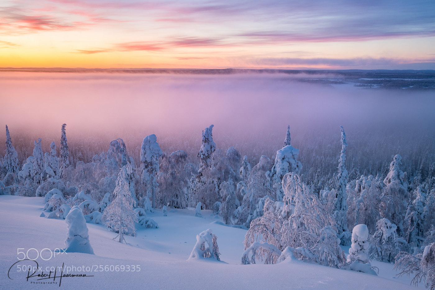 Nikon D5 sample photo. View over finnish lapland photography