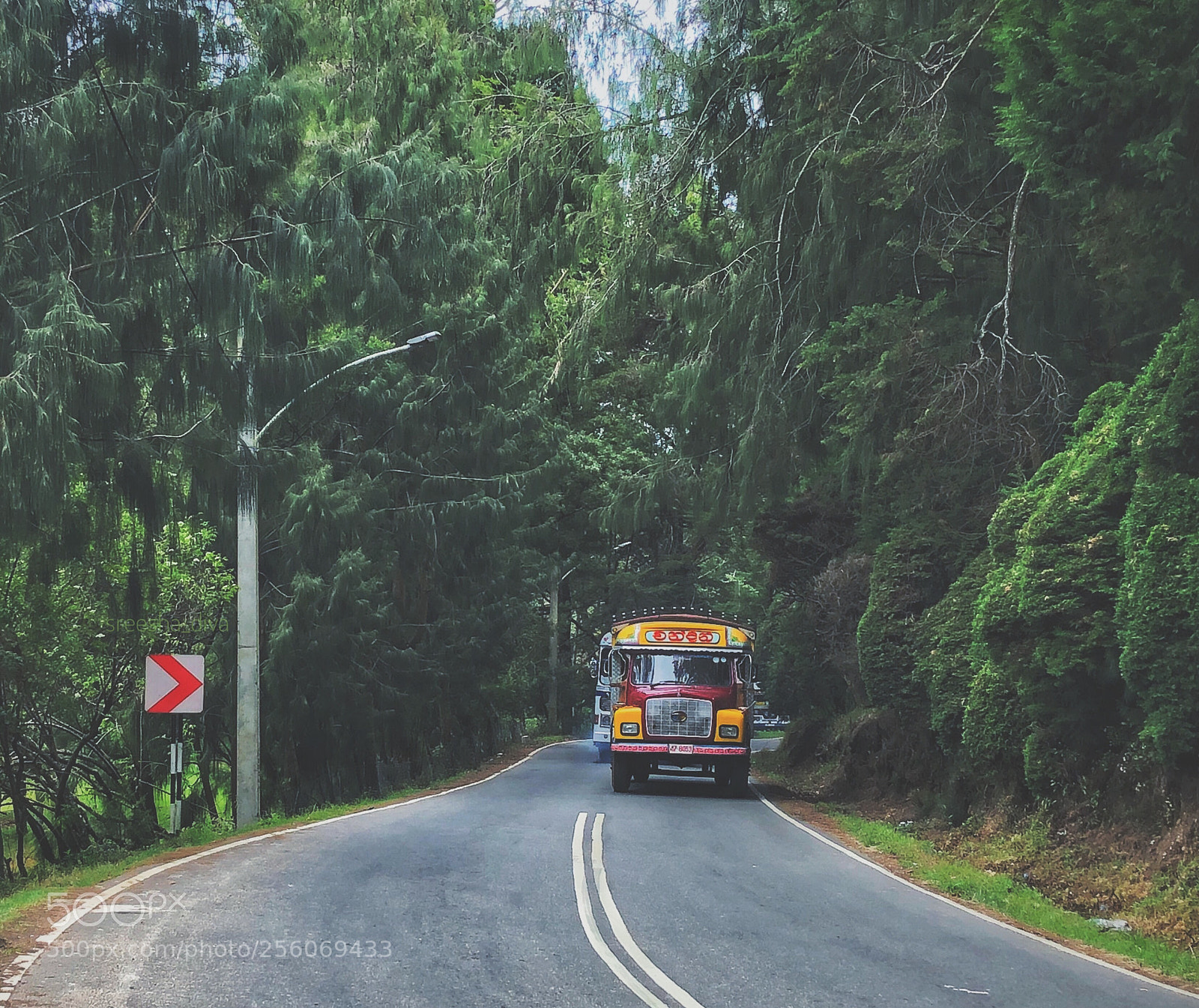 Apple iPhone 8 Plus sample photo. The roads of nuwara photography