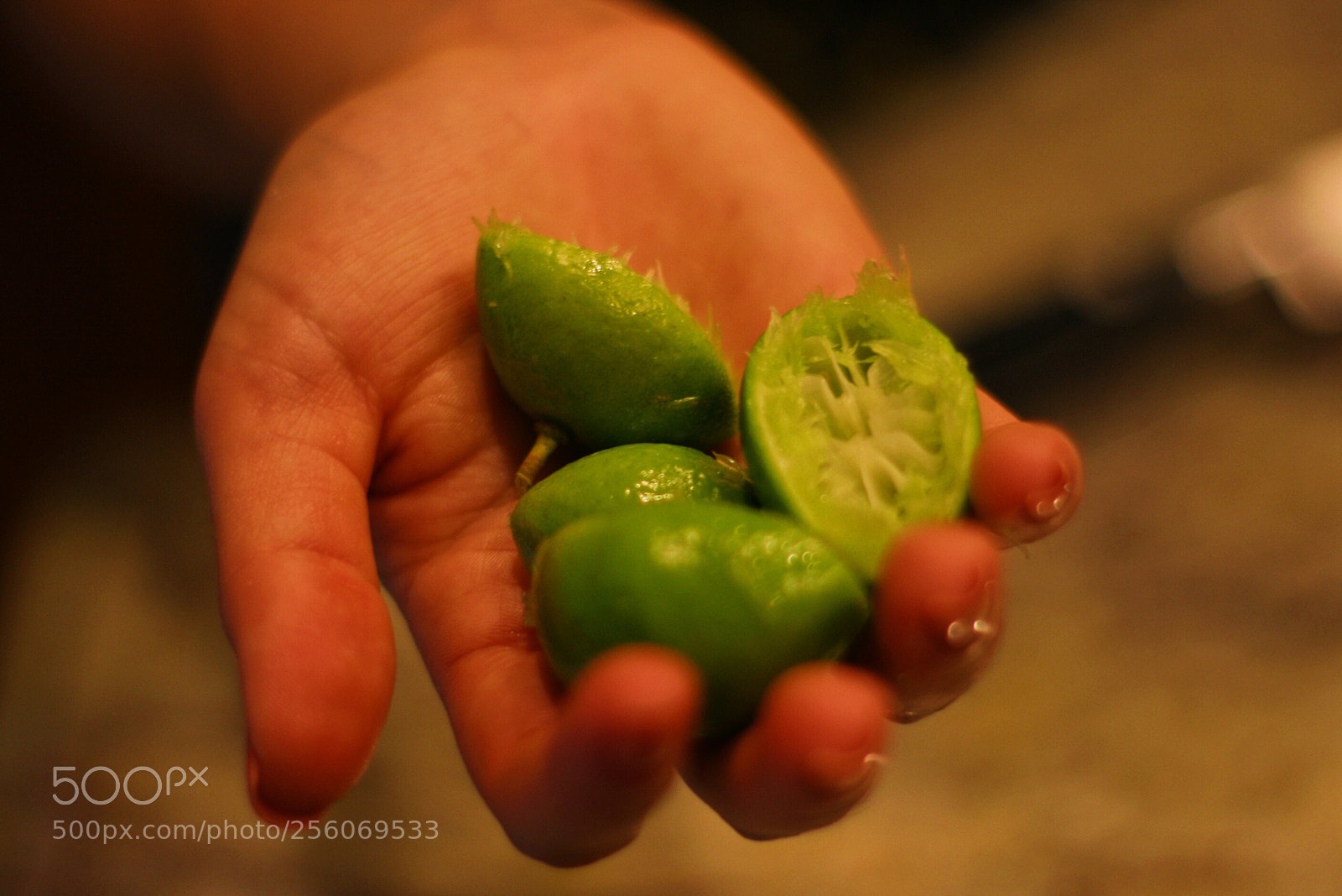 Canon EOS 400D (EOS Digital Rebel XTi / EOS Kiss Digital X) sample photo. Limes in the hand photography