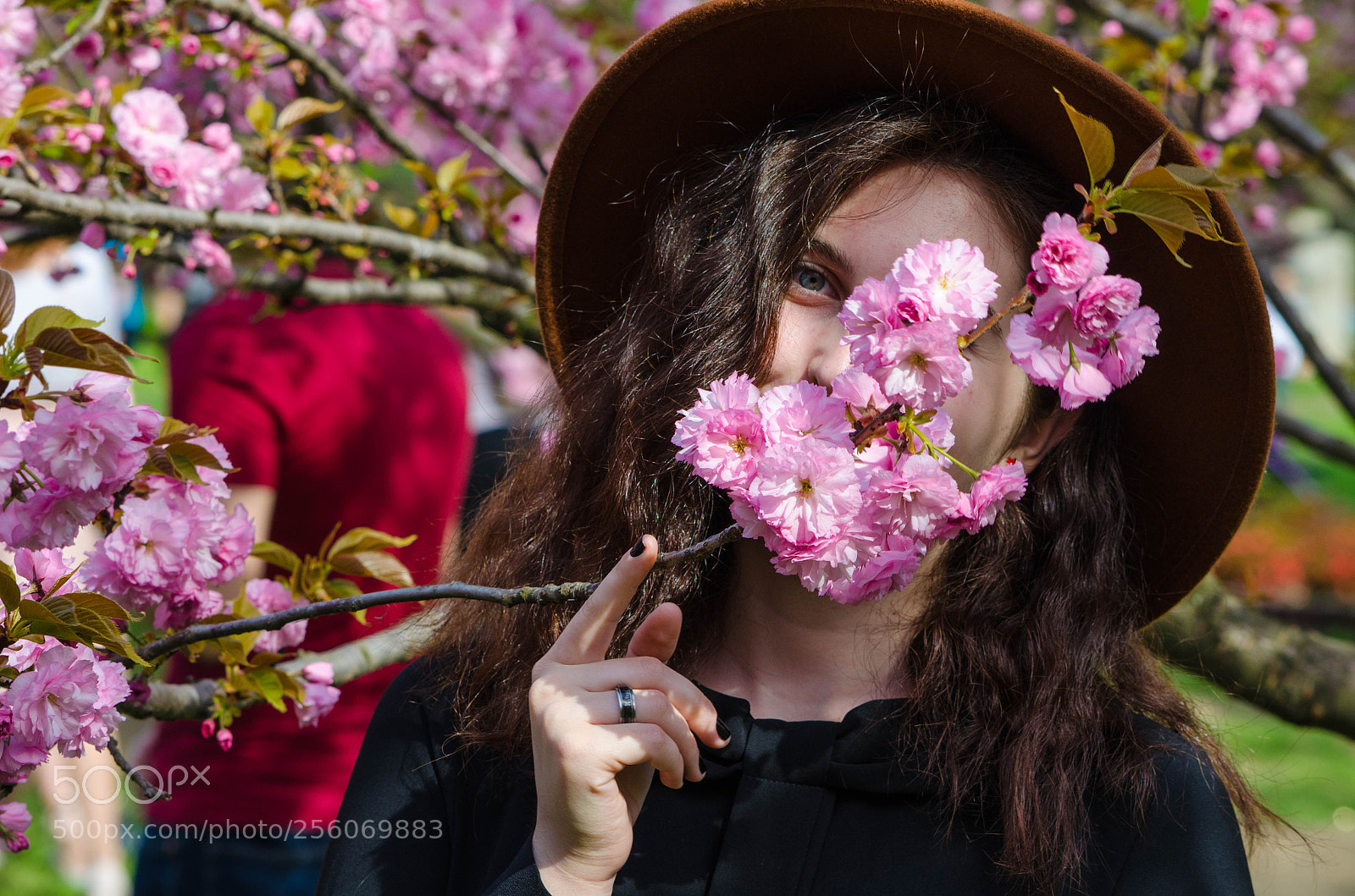 Nikon D5100 sample photo. Hide and seek photography