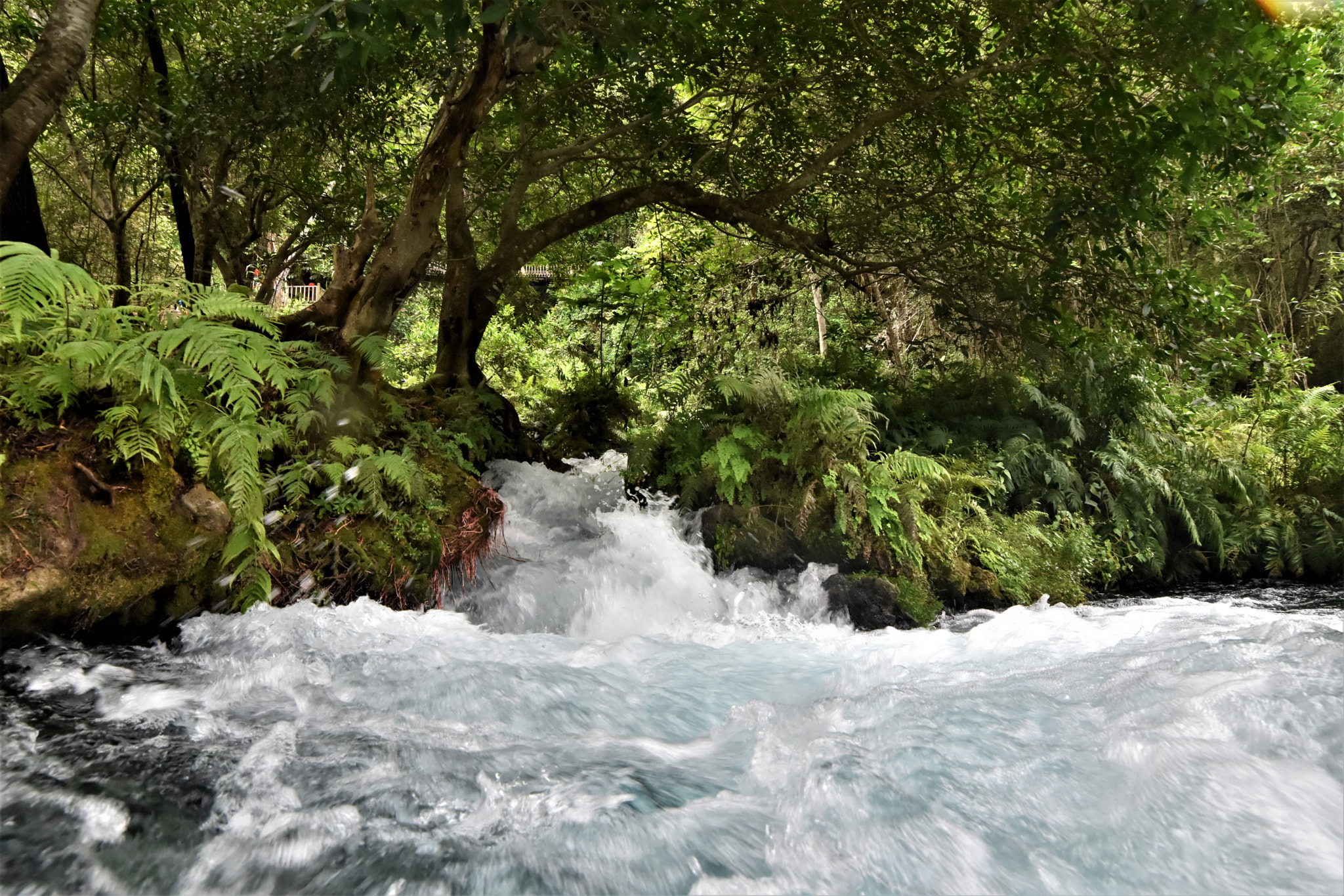 Samyang 14mm F2.8 ED AS IF UMC sample photo. Aguas de tamul photography