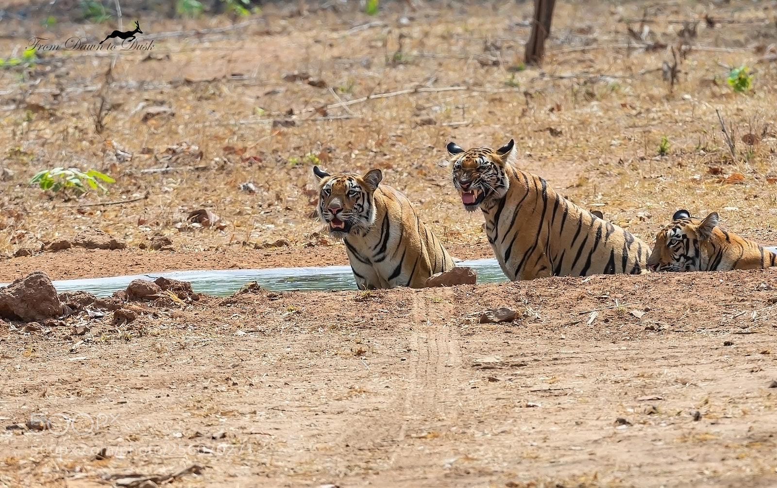 Nikon D600 sample photo. Maintain distance photography
