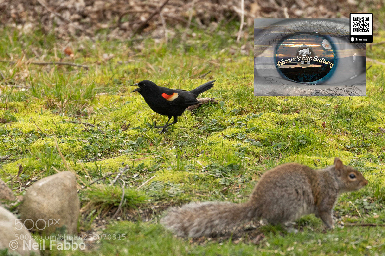 Canon EOS 5D Mark IV sample photo. Unlikely companions photography