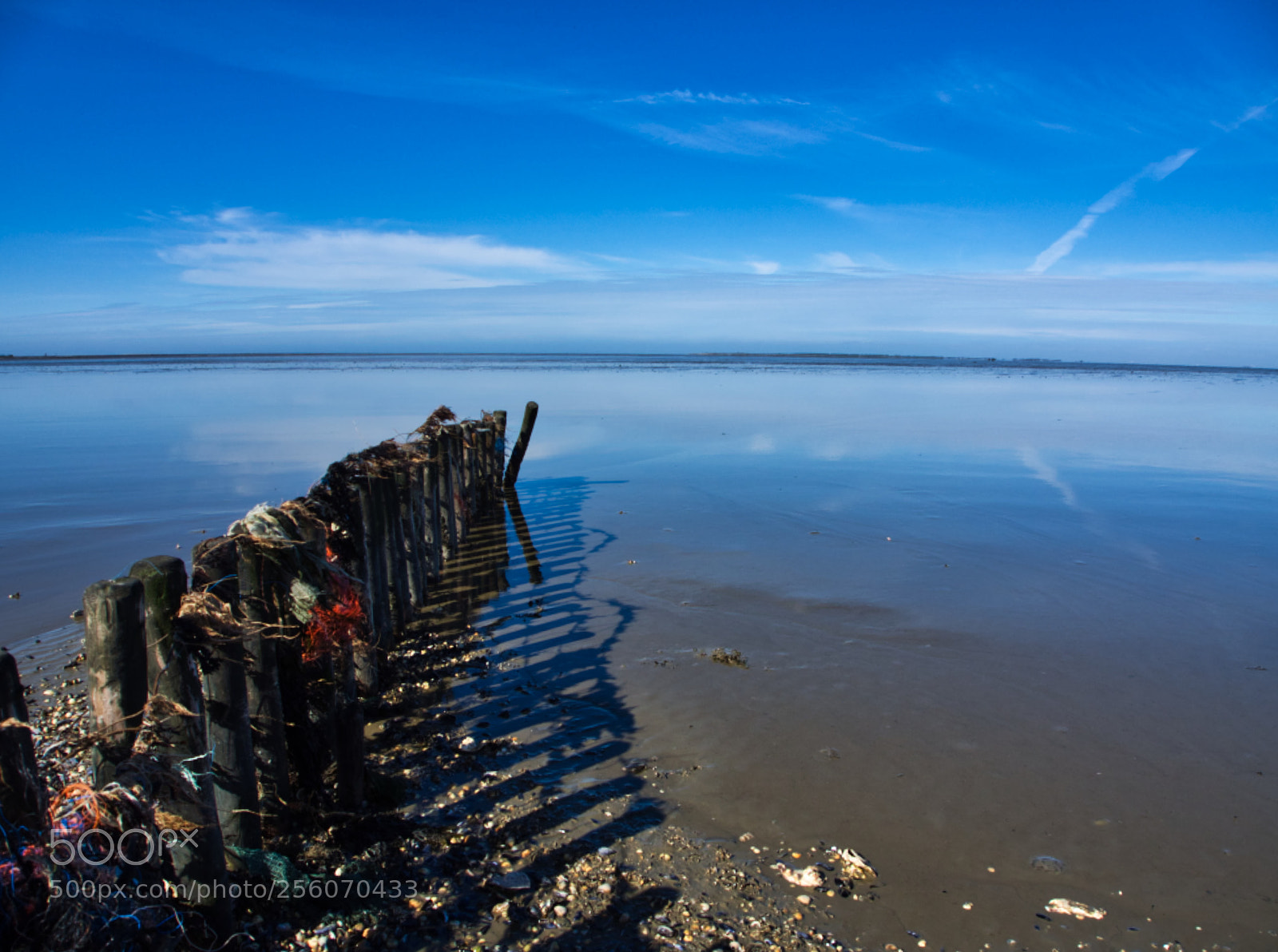 Olympus OM-D E-M10 sample photo. Moddergat, friesland photography