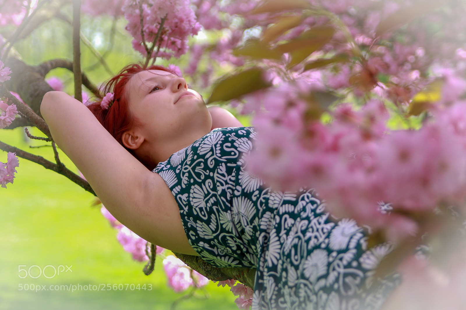 Canon EOS 70D sample photo. Time for dreams... photography