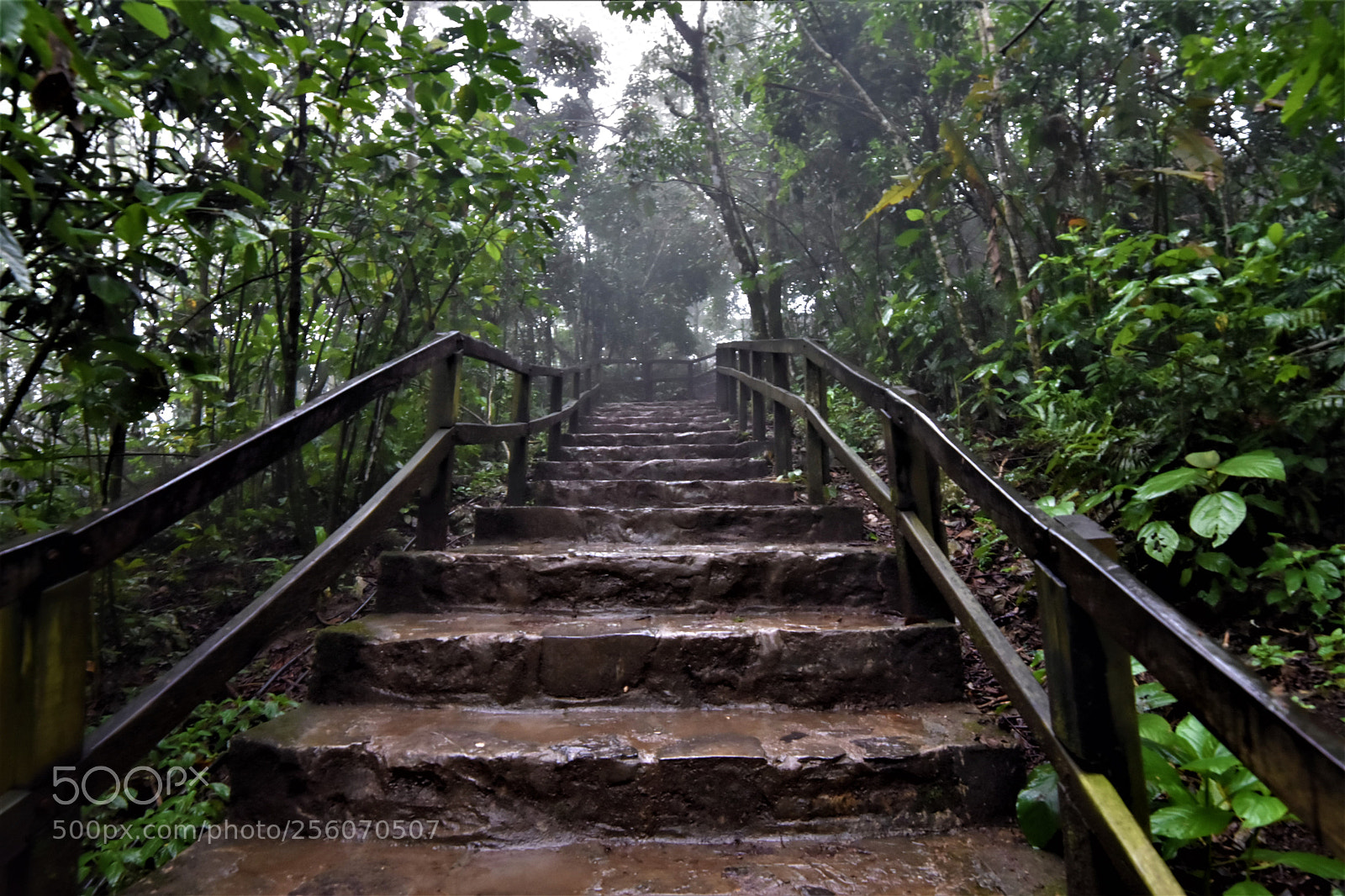Nikon D7200 sample photo. Escaleras pozas de las photography