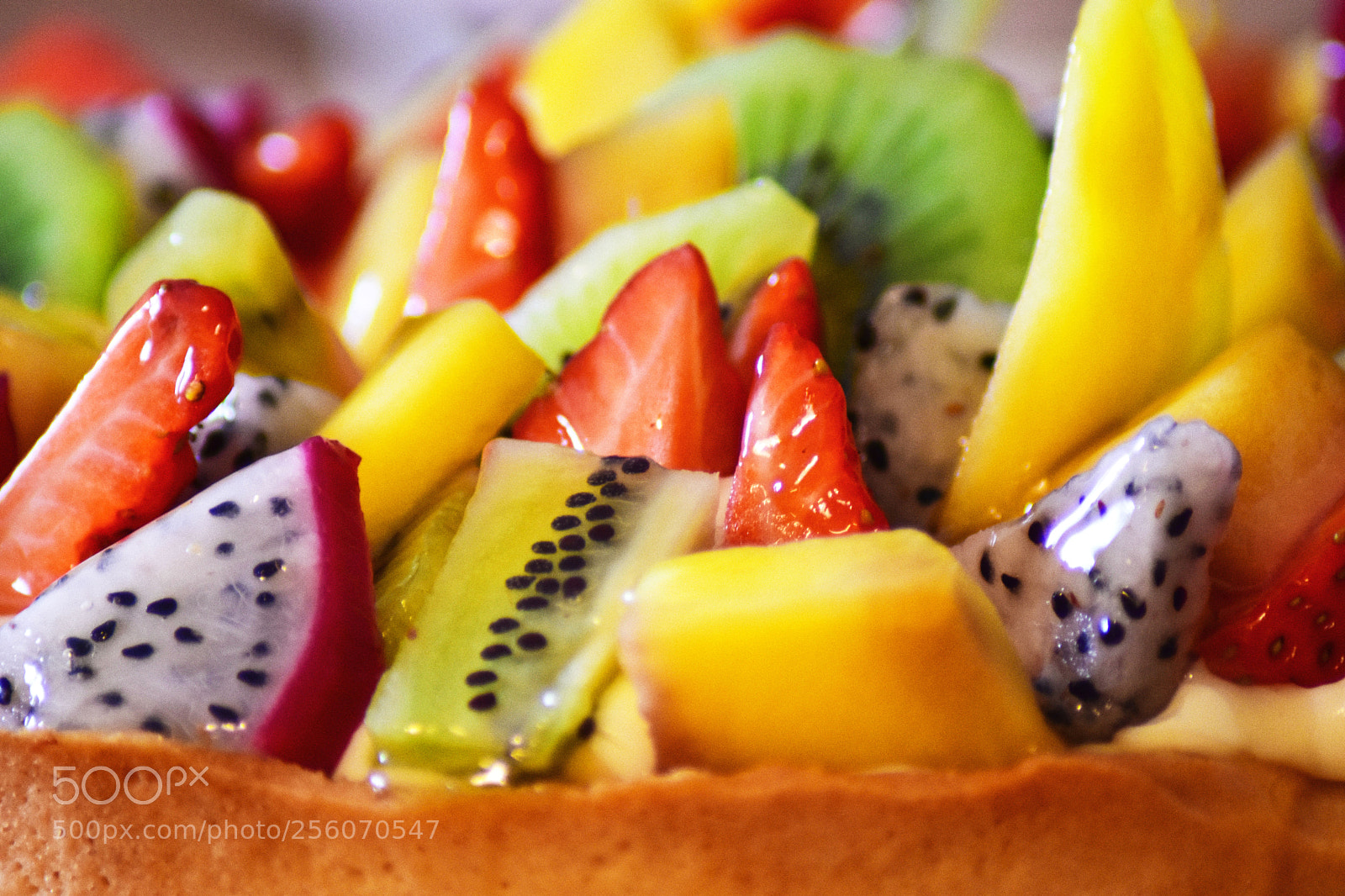 Nikon D5600 sample photo. Tarte laura photography