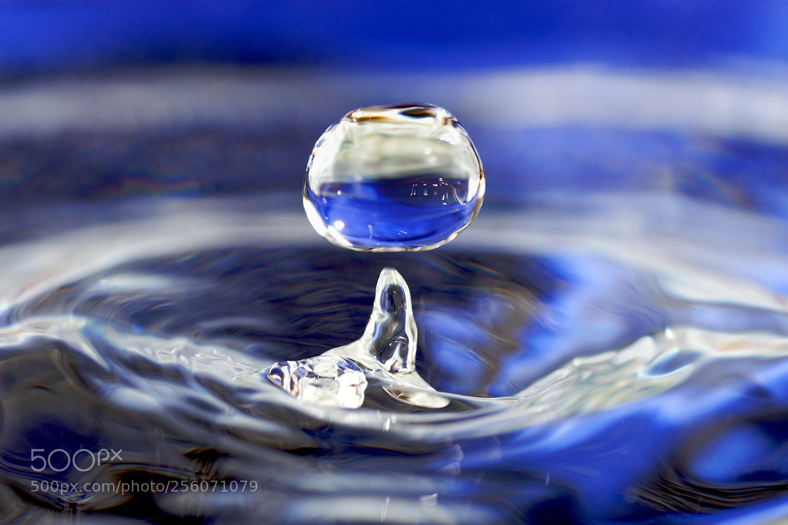 Canon EOS 450D (EOS Rebel XSi / EOS Kiss X2) sample photo. Water drop photography