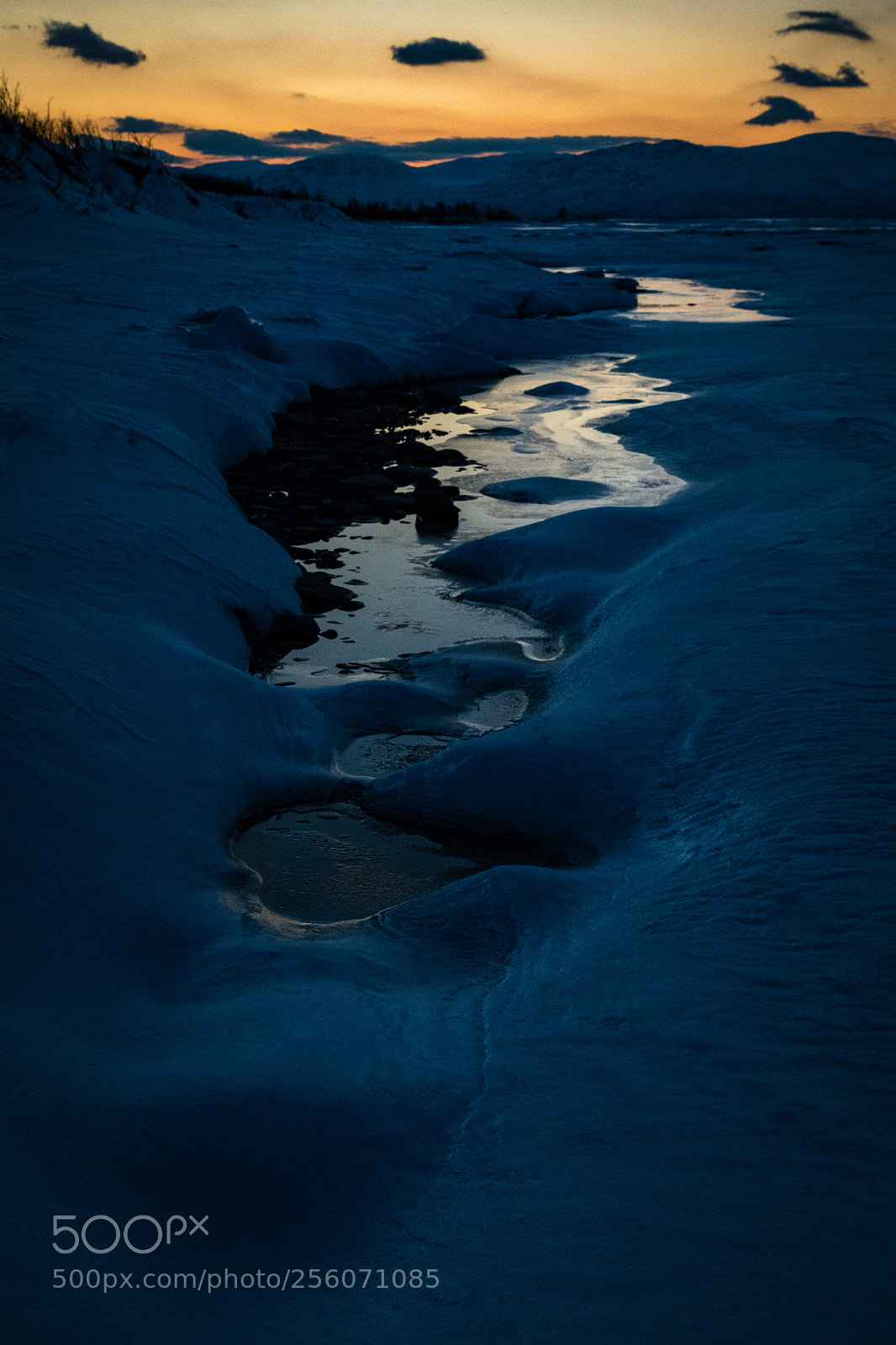 Nikon D850 sample photo. Blue hour in winterland photography