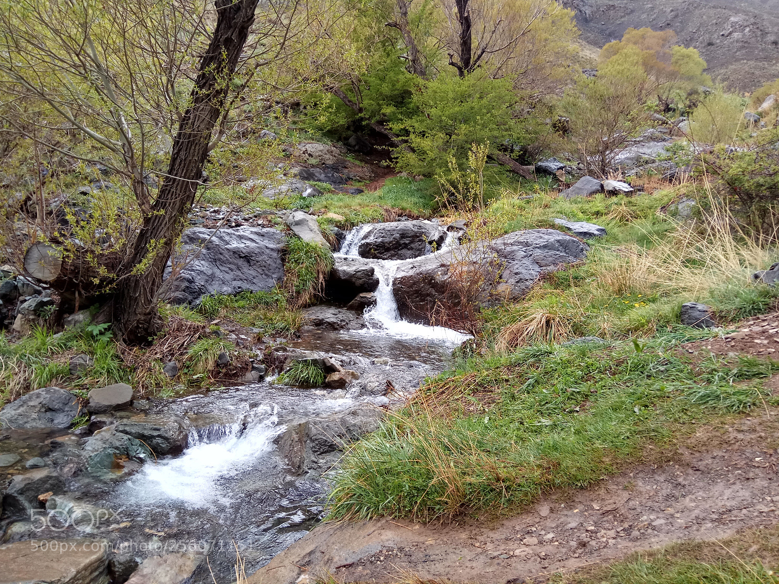 Xiaomi Redmi Note 4 sample photo. Untitled photography