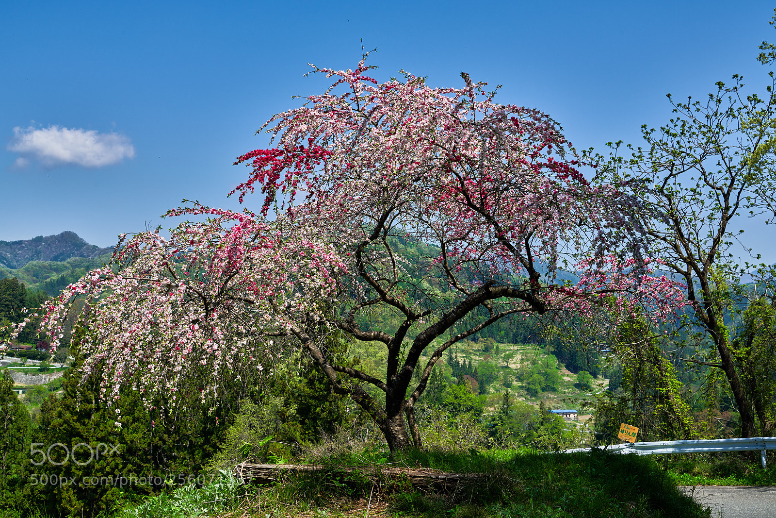 Nikon D850 sample photo. Mountain village photography