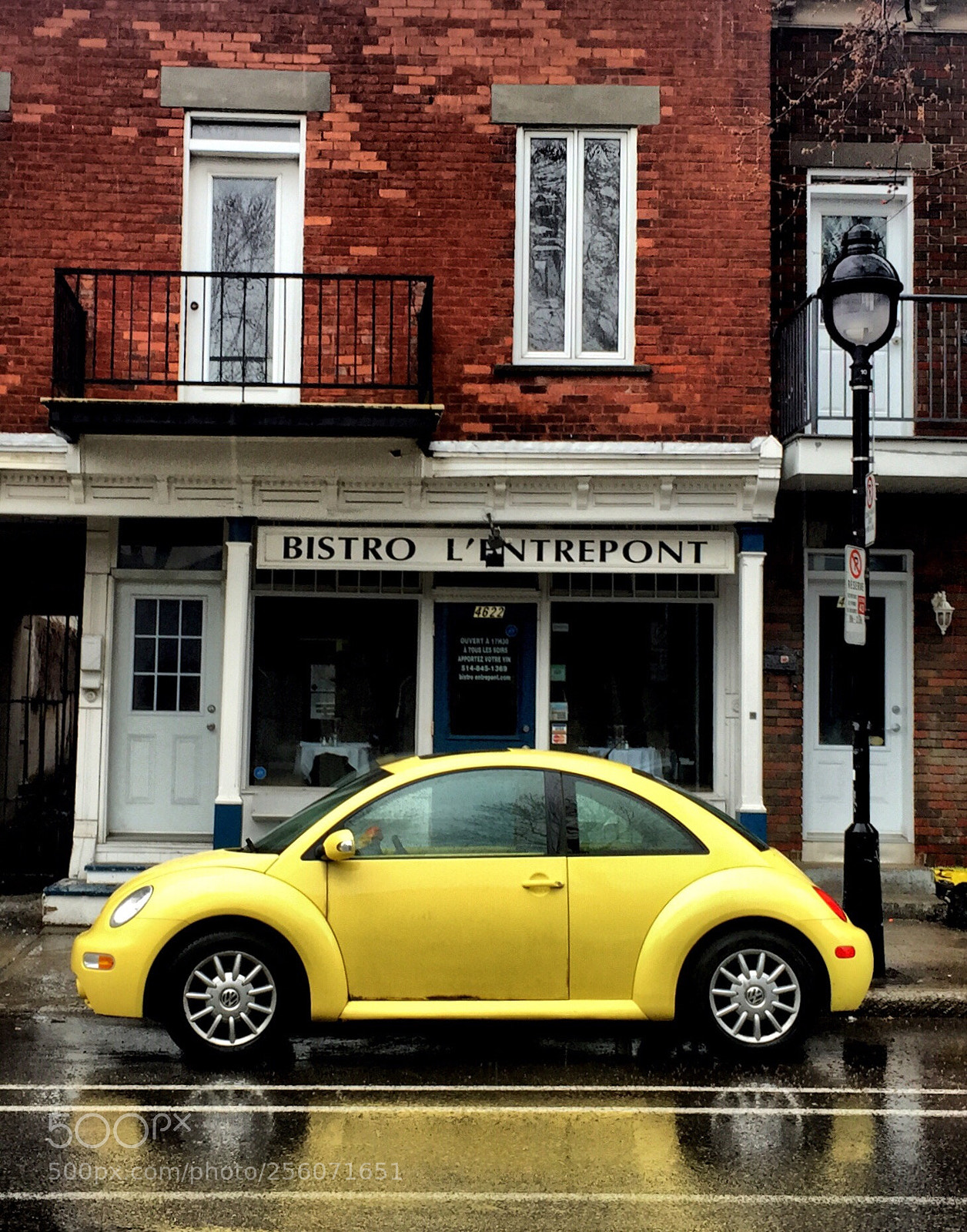 Apple iPhone 6 Plus sample photo. Yellowbug photography
