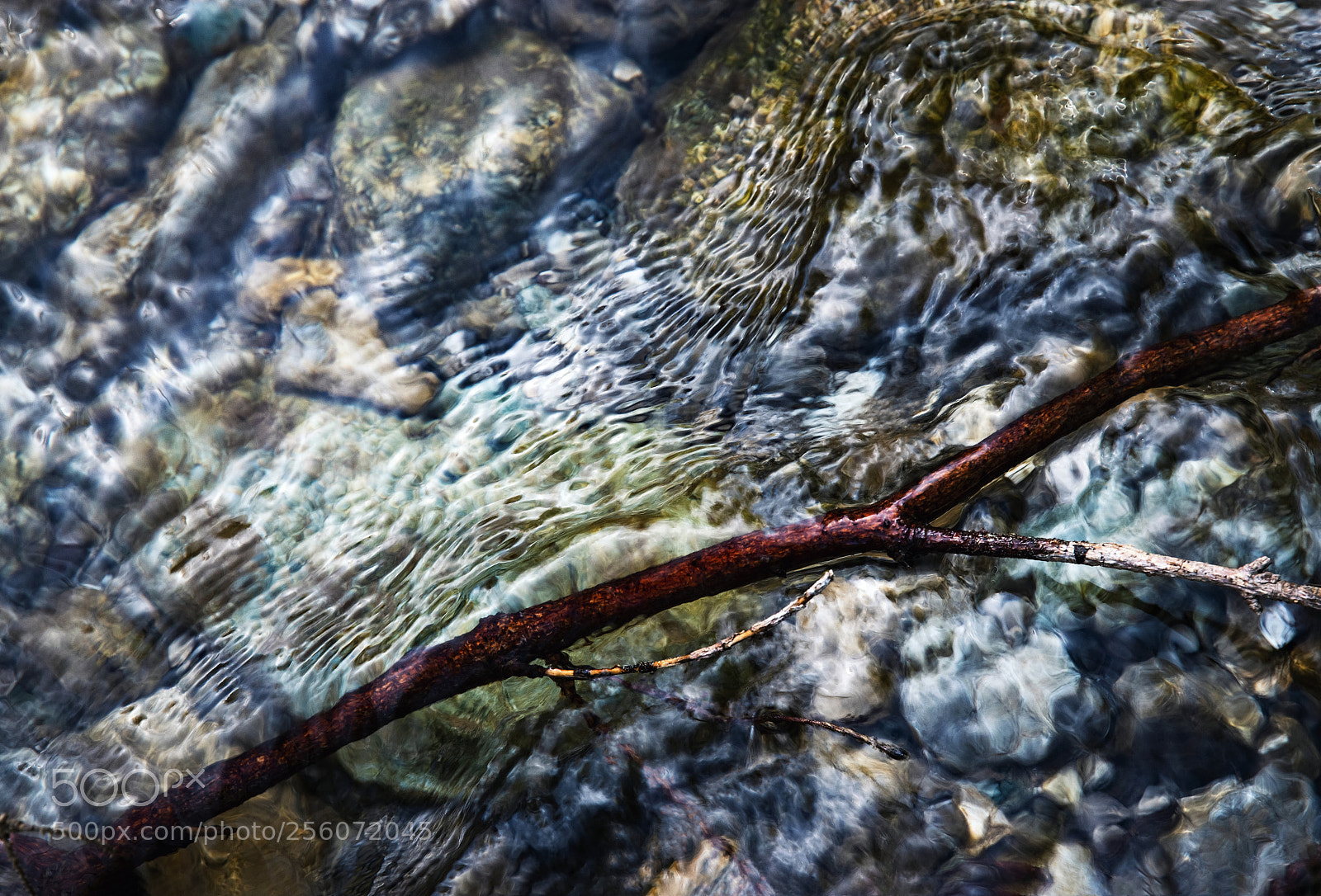 Nikon D5500 sample photo. Clear water level with photography