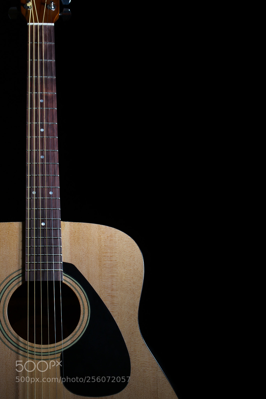 Canon EOS 6D sample photo. Acoustic guitar with metal photography