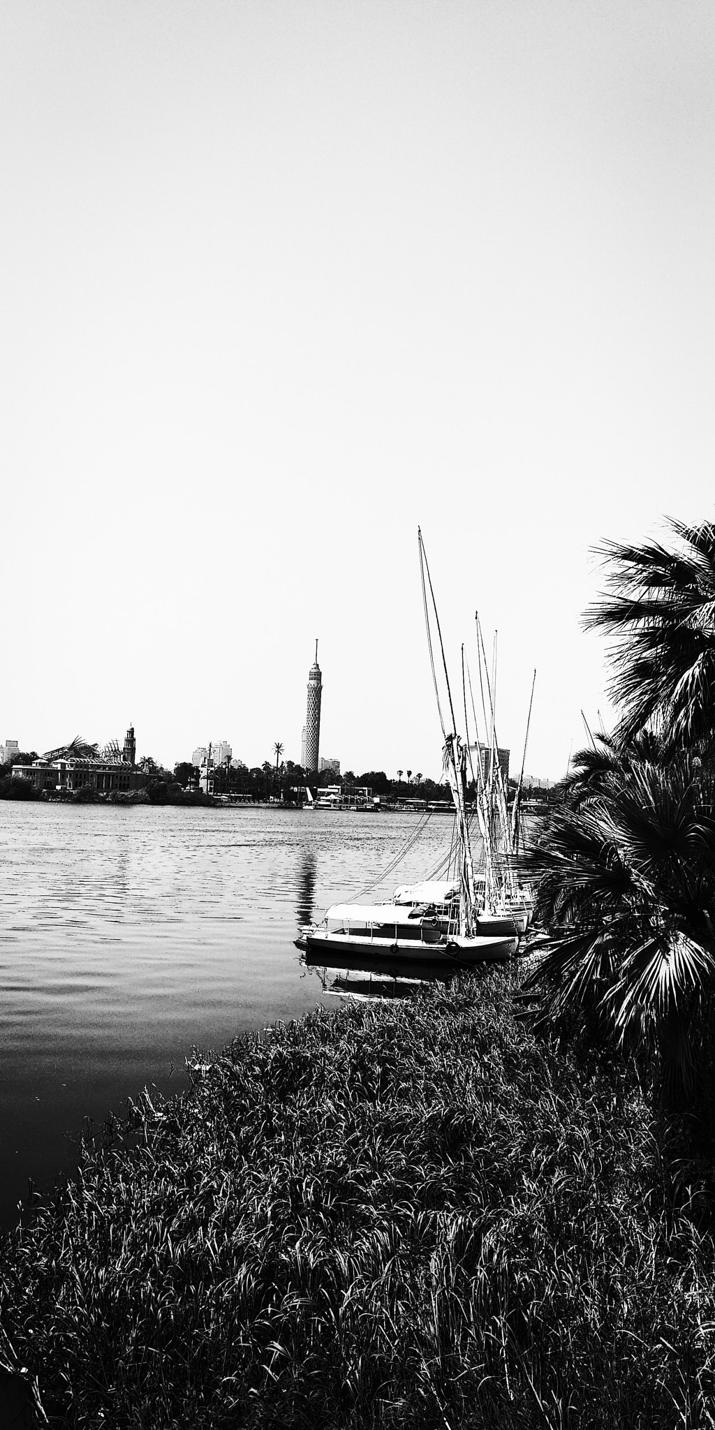 Xiaomi Redmi 5 Plus sample photo. Nile photography