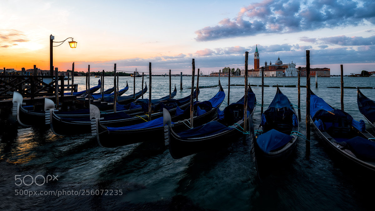 Nikon D850 sample photo. Piazza san marco photography