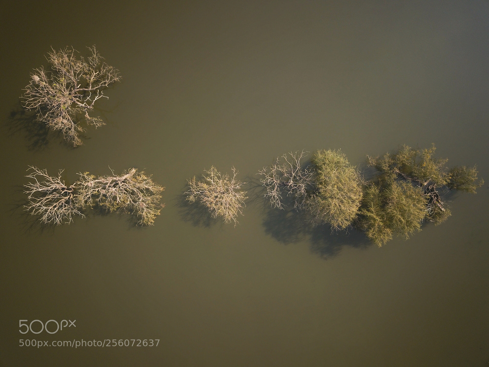 DJI FC220 sample photo. Flud line photography