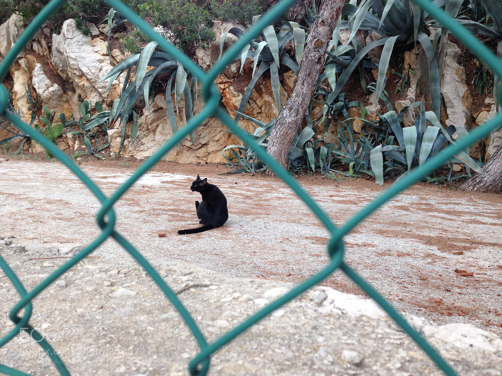 Apple iPhone 5 sample photo. Mallorca, spain photography