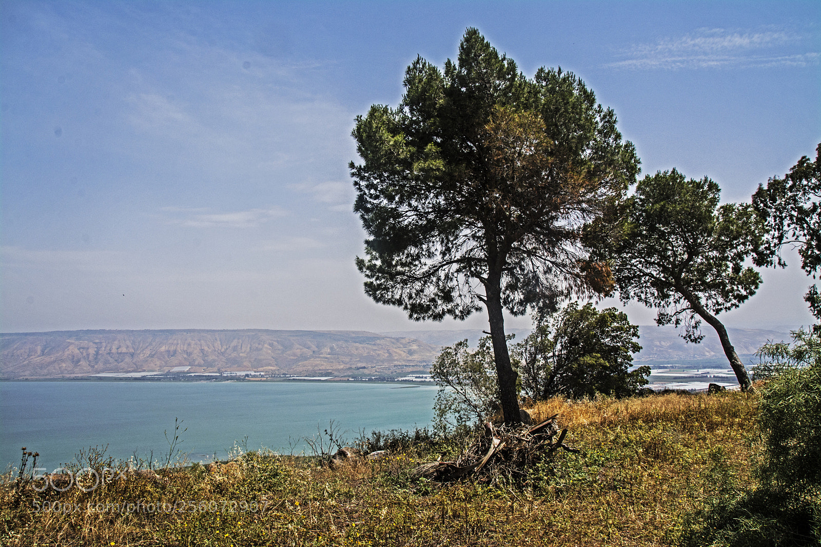 Nikon D7100 sample photo. Lake of galily. photography