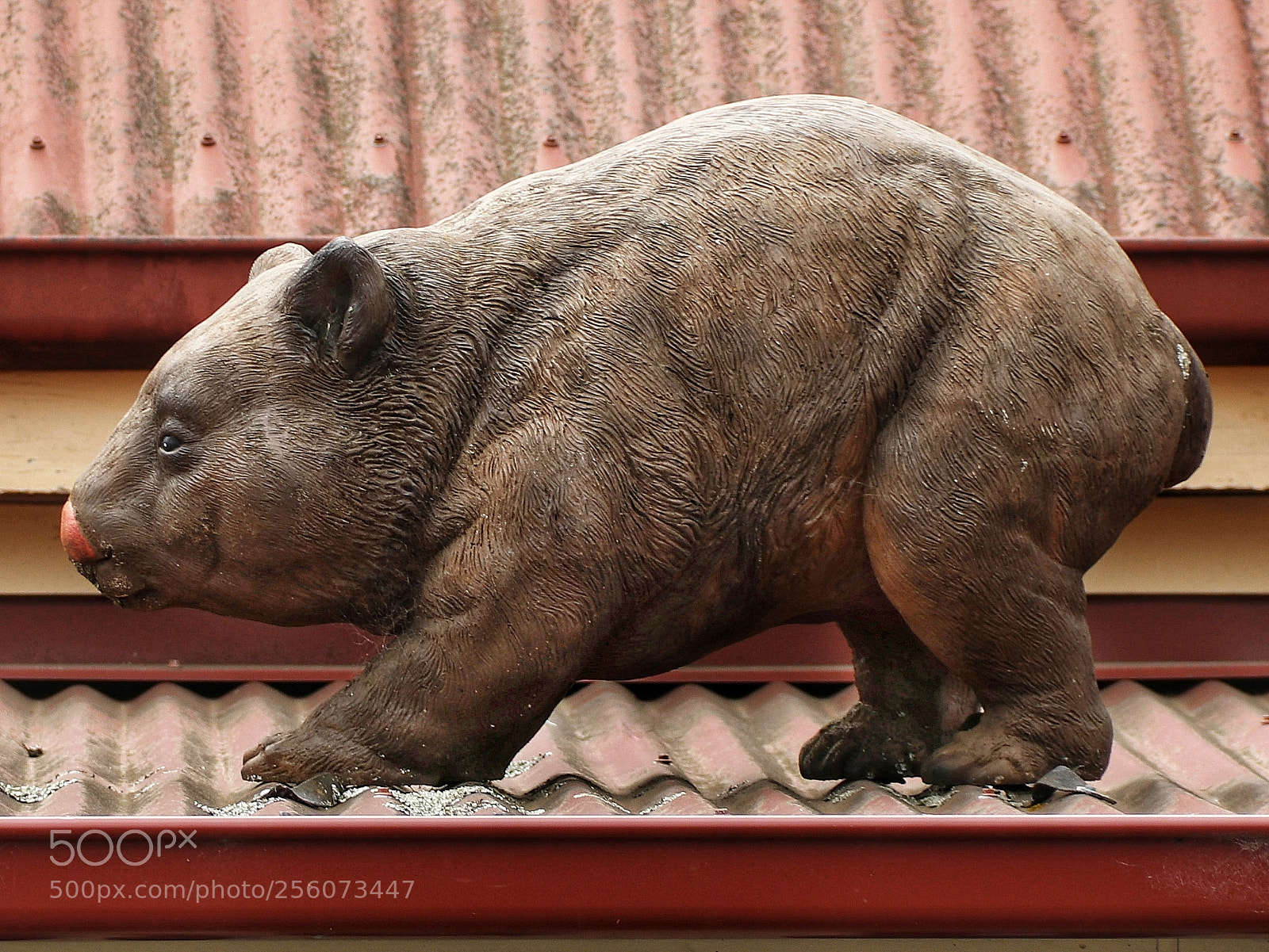 Canon EOS 80D sample photo. Thought extinct, perhaps giant photography