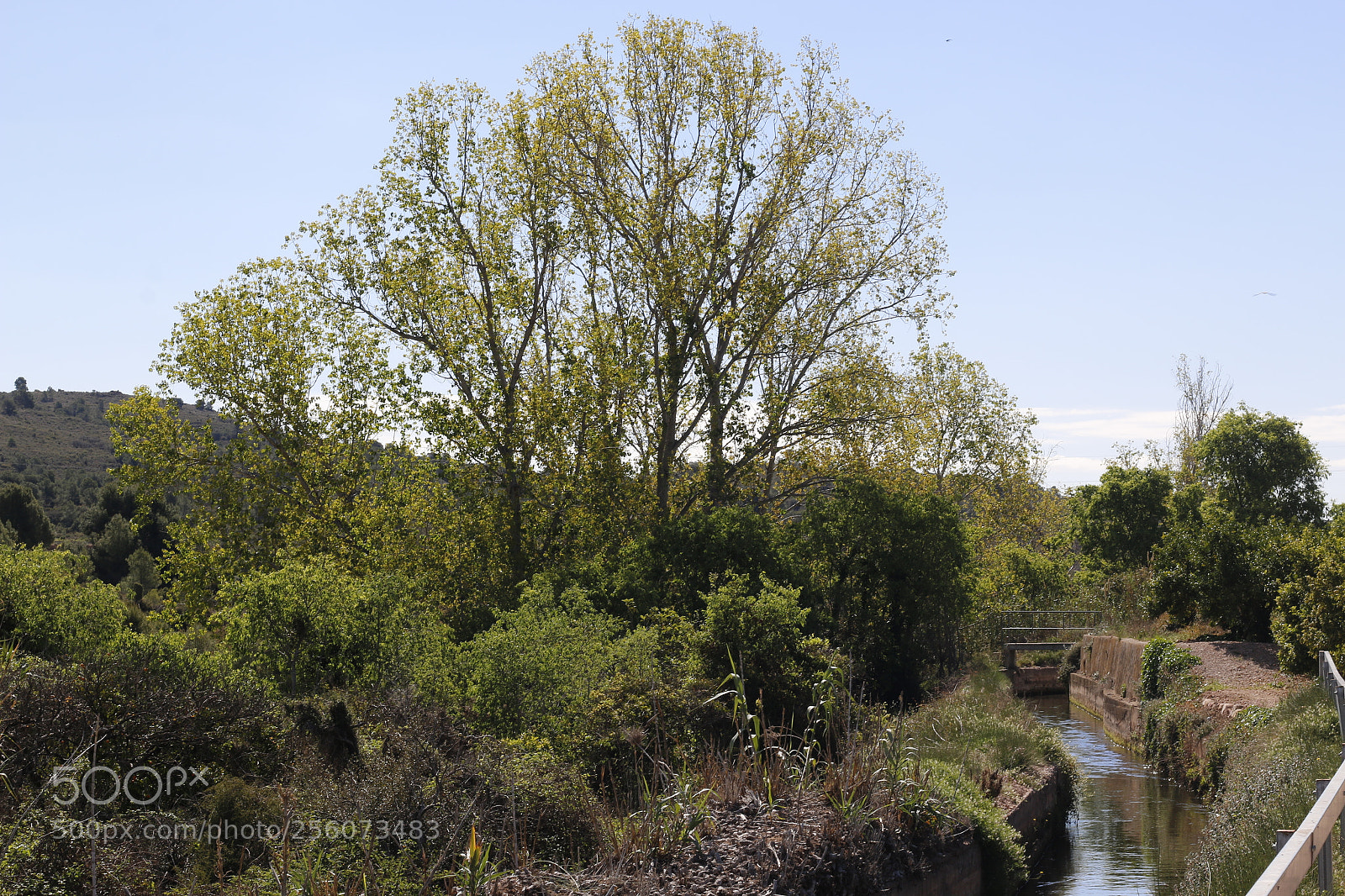 Canon EOS 70D + Canon EF 50mm F1.8 II sample photo. Mg photography