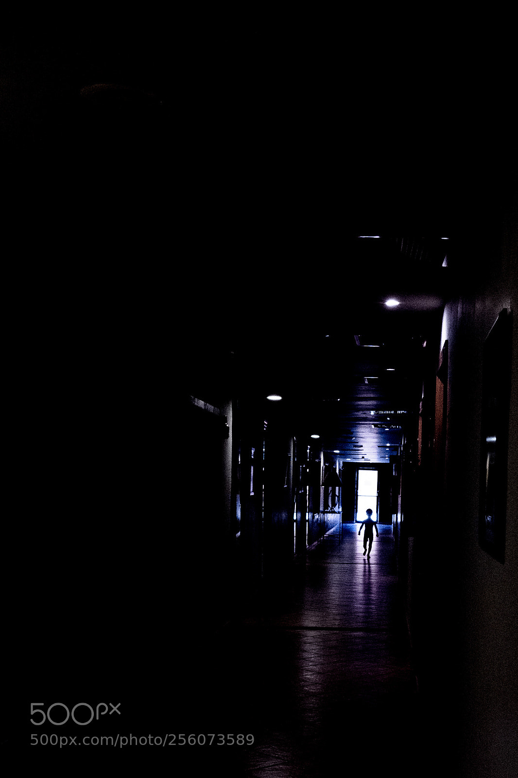 Fujifilm X-T20 sample photo. Looking 4u photography