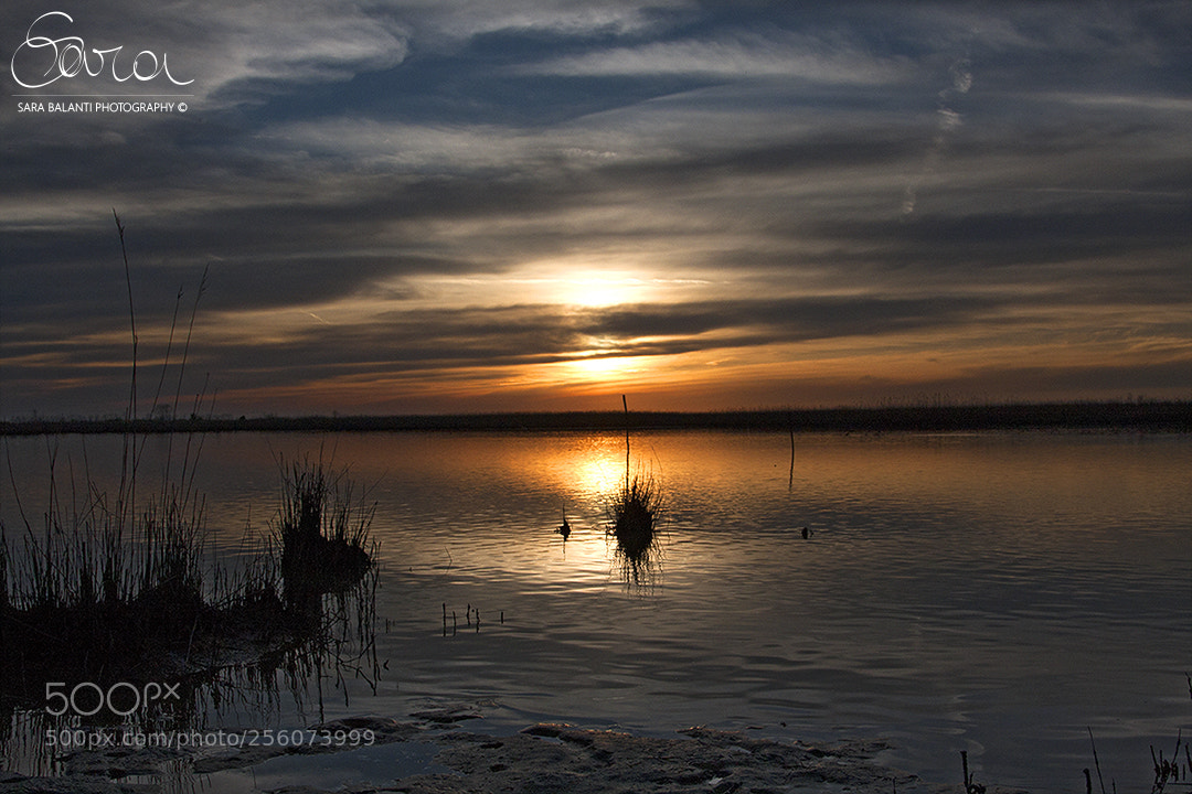 Canon EOS 40D sample photo. Tramonto nel delta del photography