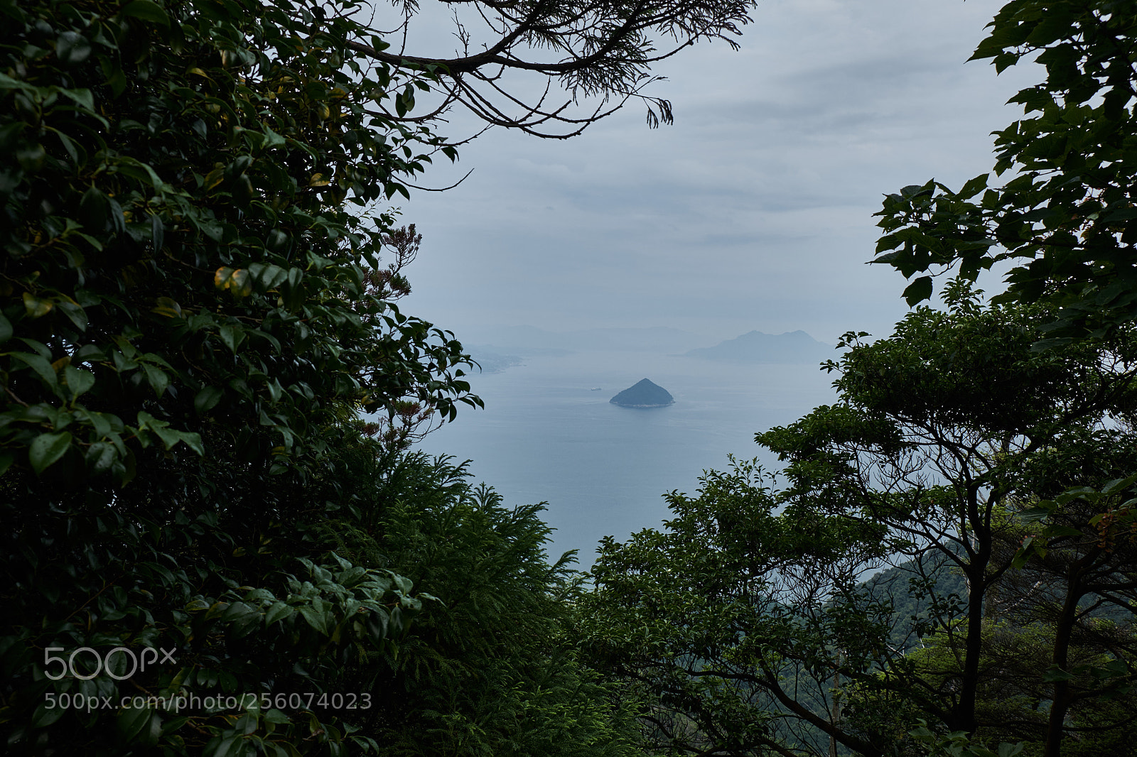 Fujifilm X-T20 sample photo. Skull island inspiration photography
