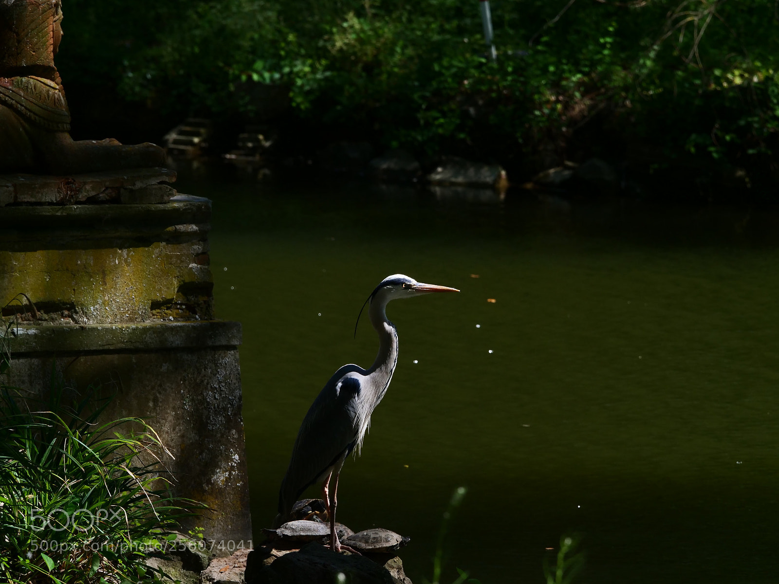 Panasonic Lumix DC-G9 sample photo. Sentinella photography