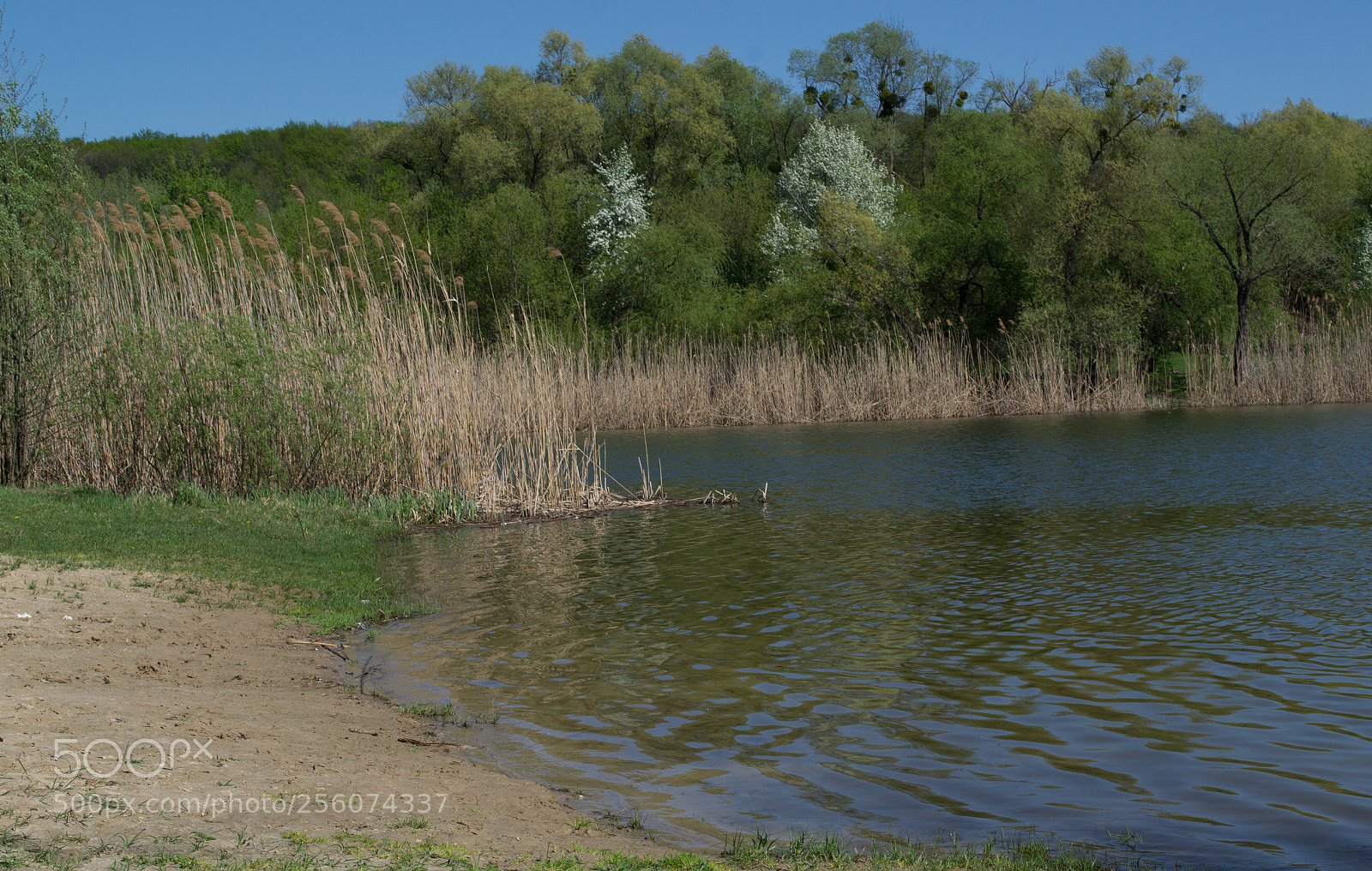 Nikon D3100 sample photo. Spring beach photography