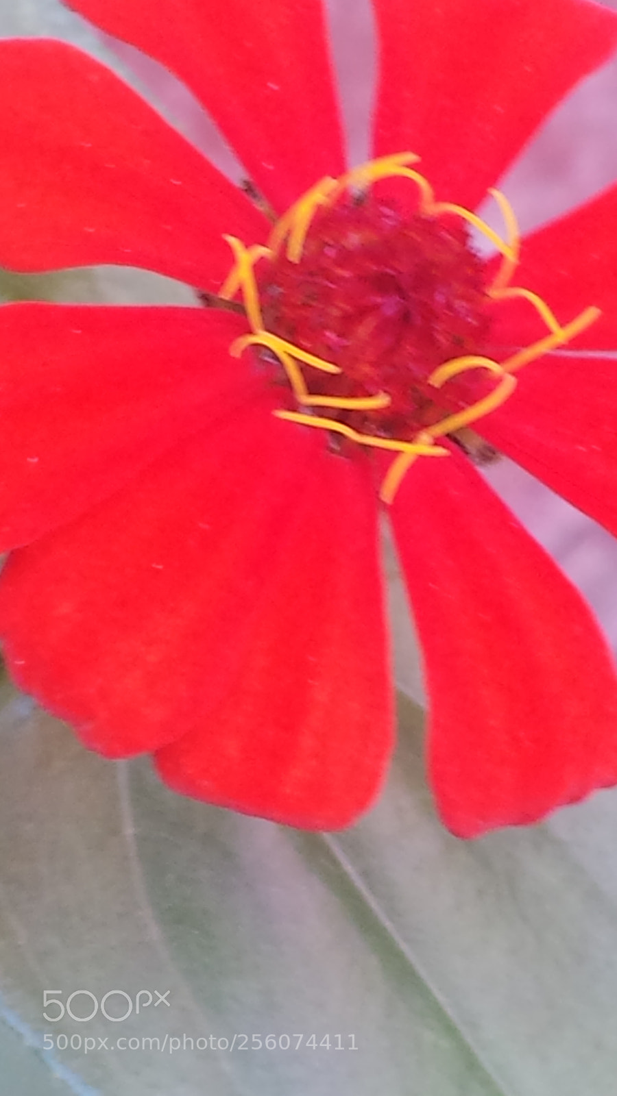 Samsung Galaxy S4 sample photo. Soon photography