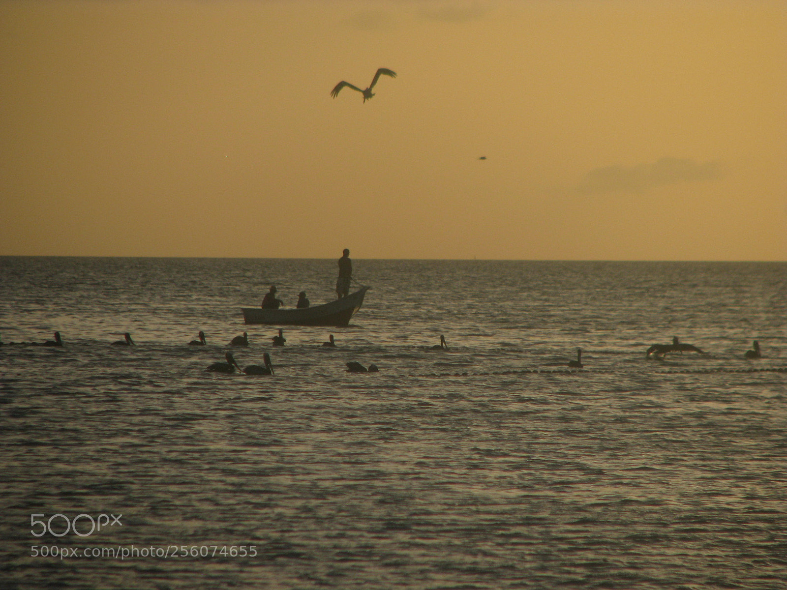 Canon POWERSHOT S5 IS sample photo. Sunset for venezuelans fishermen photography