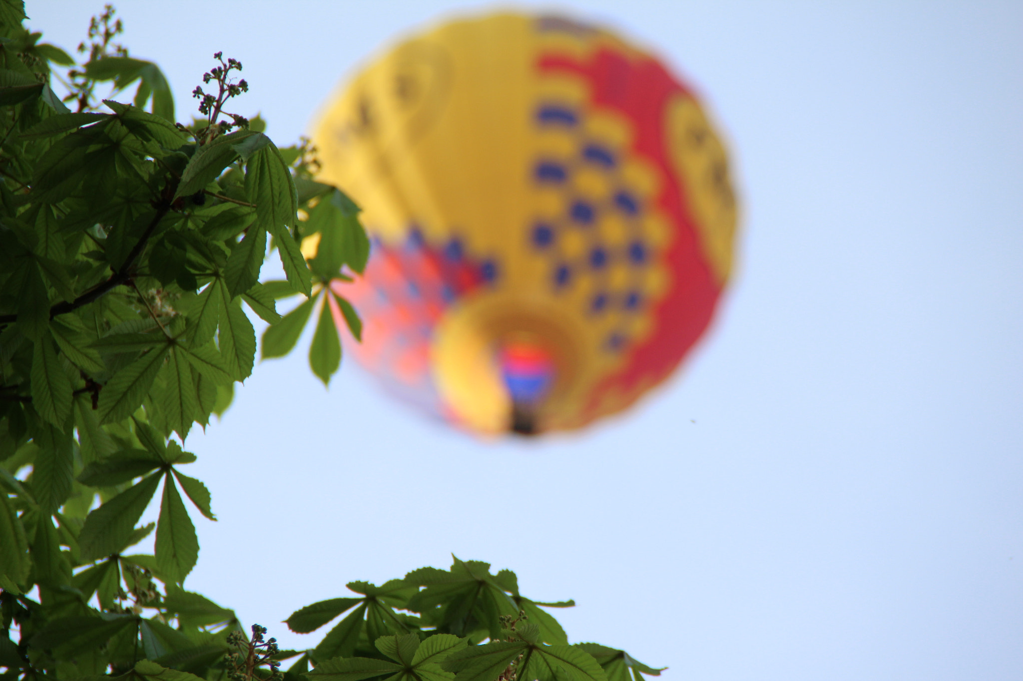 Canon EOS 1200D (EOS Rebel T5 / EOS Kiss X70 / EOS Hi) sample photo. Img photography