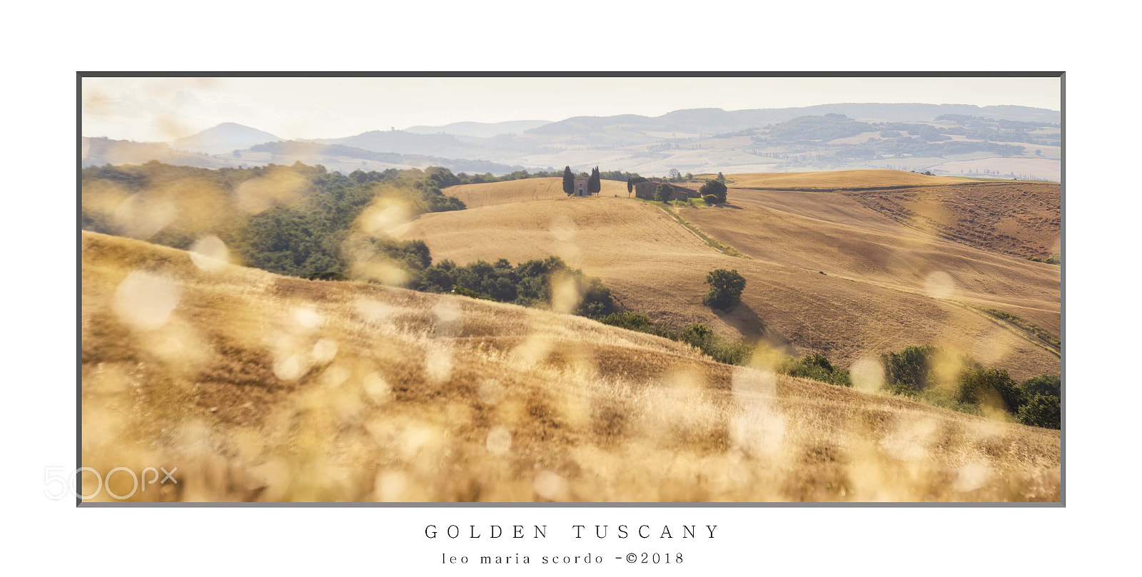 Nikon D810 sample photo. Golden tuscany photography