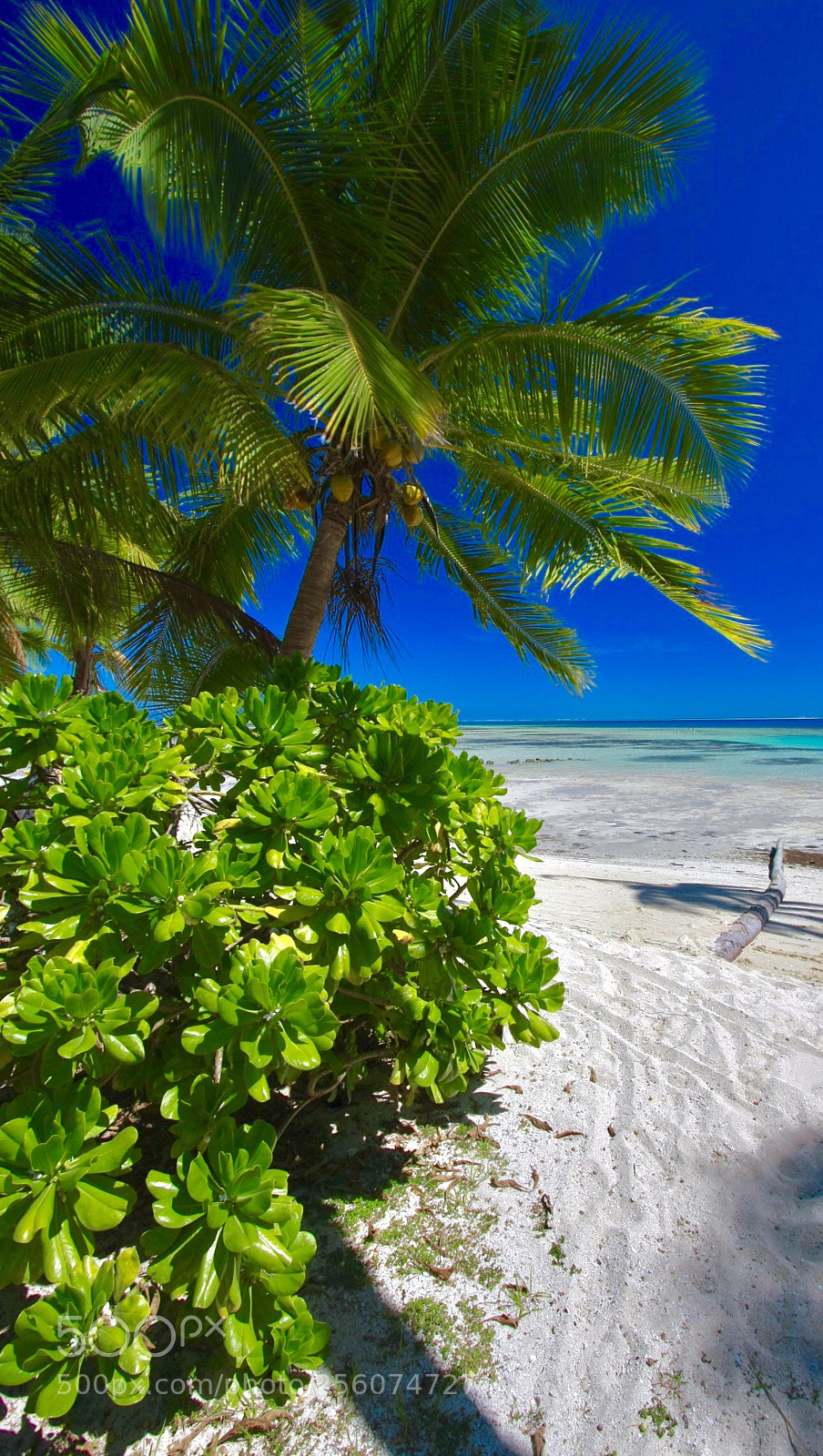Canon EOS 40D sample photo. Beach escape photography