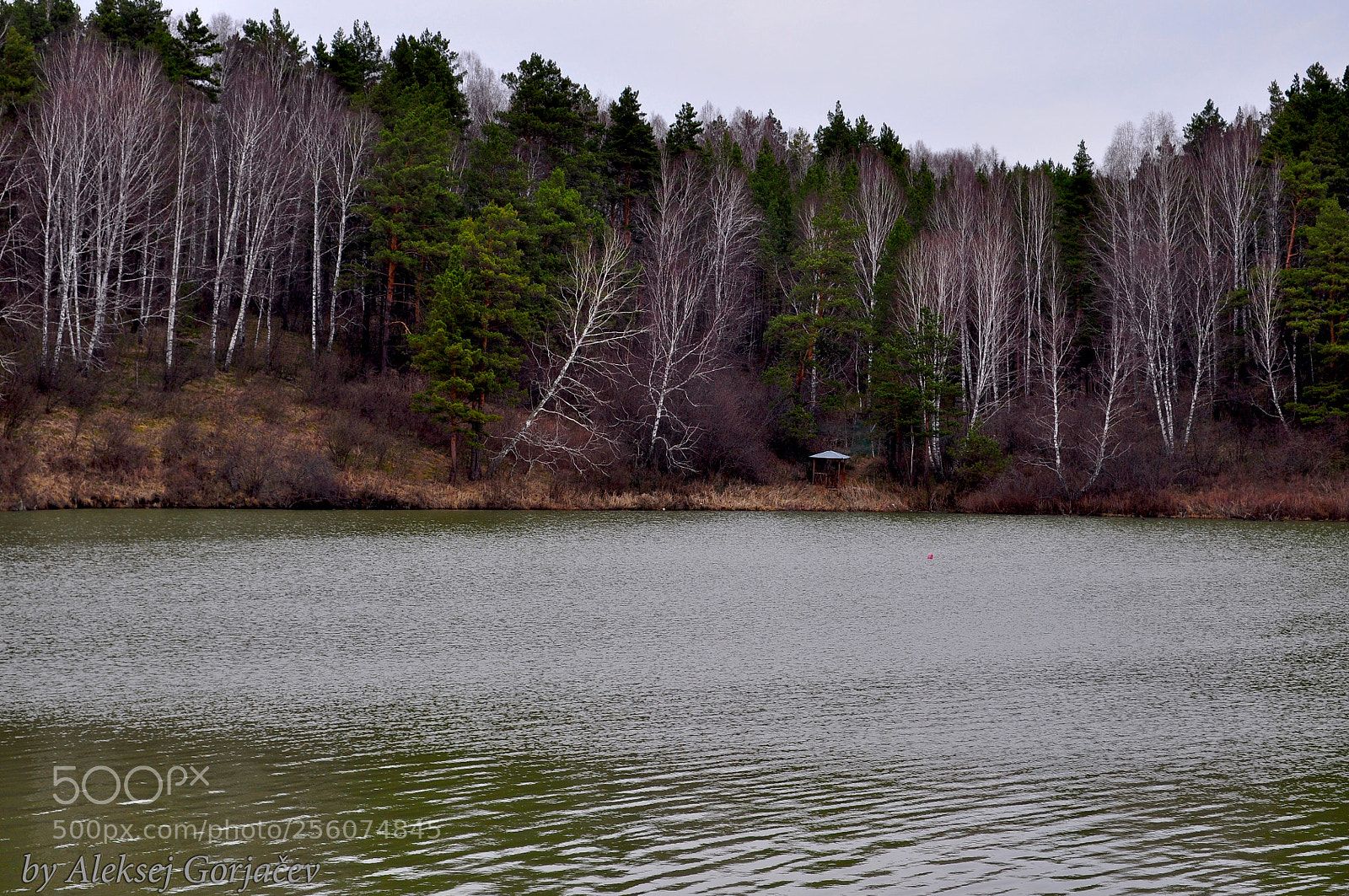 Nikon D5000 sample photo. Spring lake photography