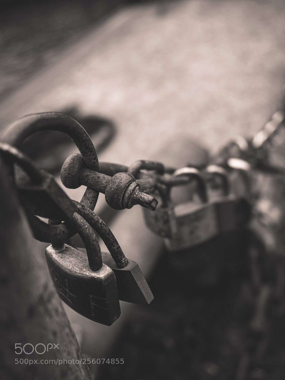 Olympus OM-D E-M1 Mark II sample photo. Locked photography