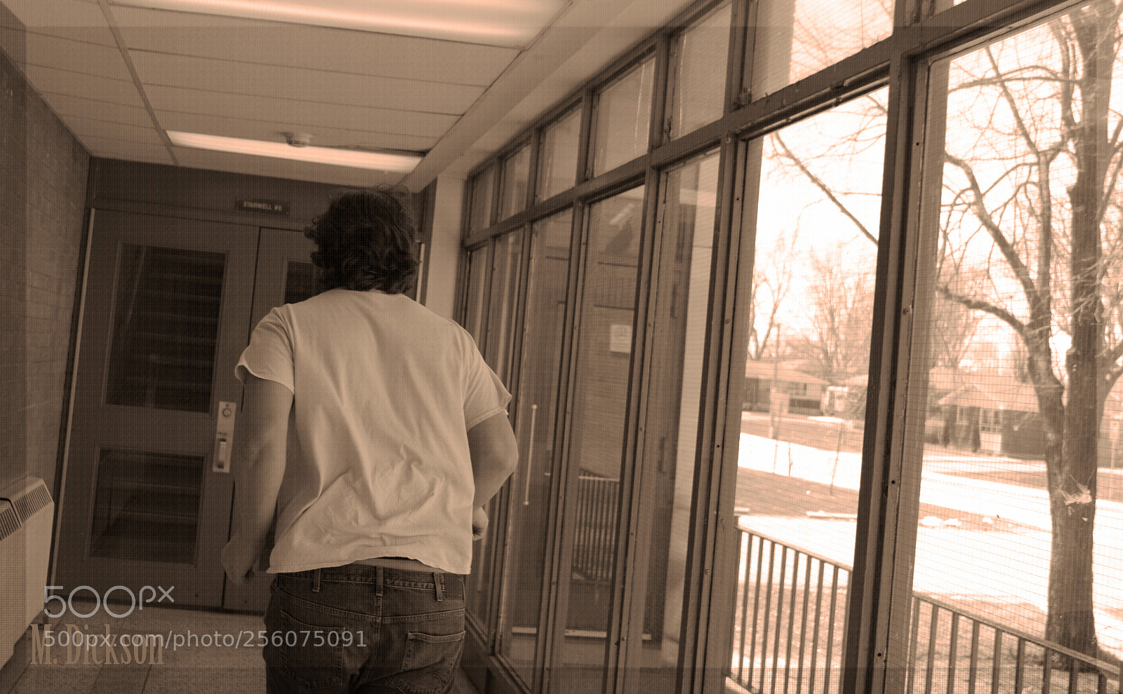 Nikon D3300 sample photo. So long, and thanks photography
