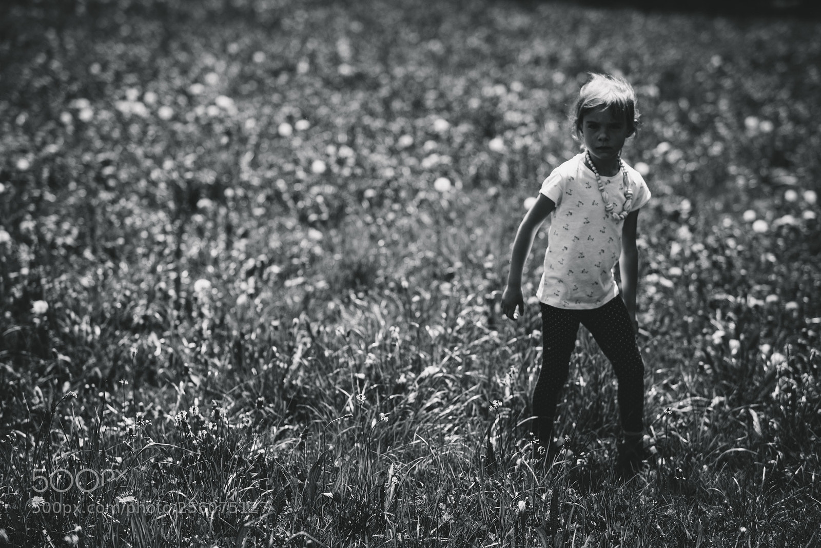 Nikon D610 sample photo. The wild hybrid photography