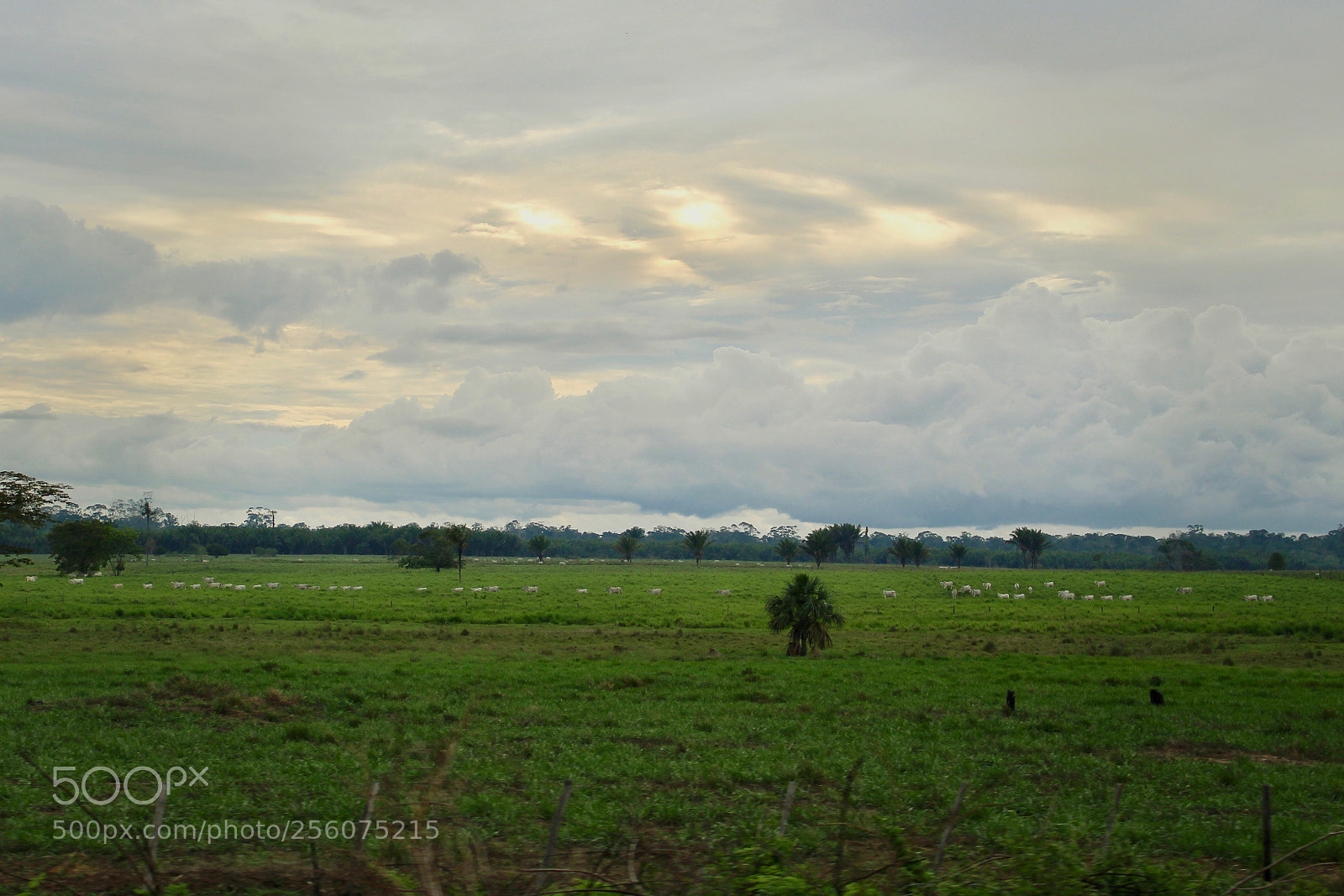 Canon EOS 700D (EOS Rebel T5i / EOS Kiss X7i) sample photo. A distant farm... photography