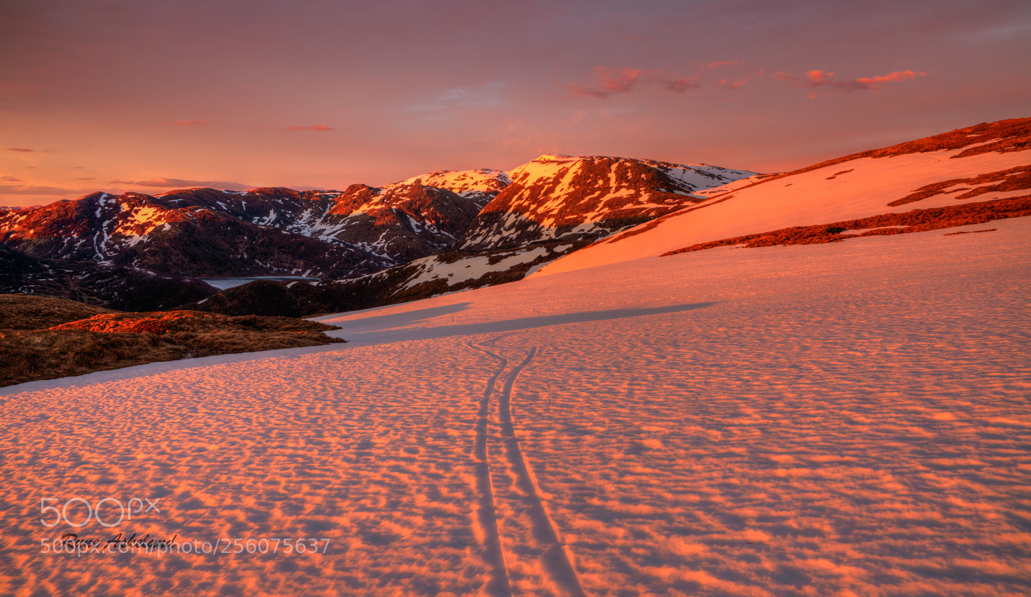 Canon EOS 5D Mark II sample photo. Last light photography