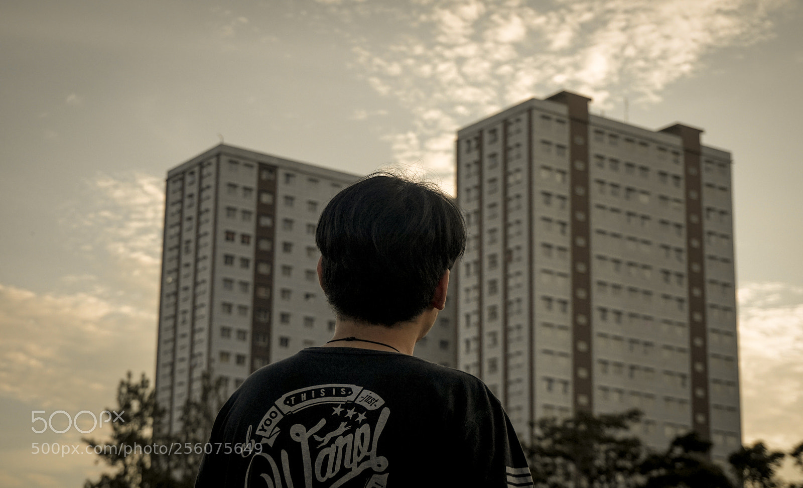 Sony a6300 sample photo. Fixated photography